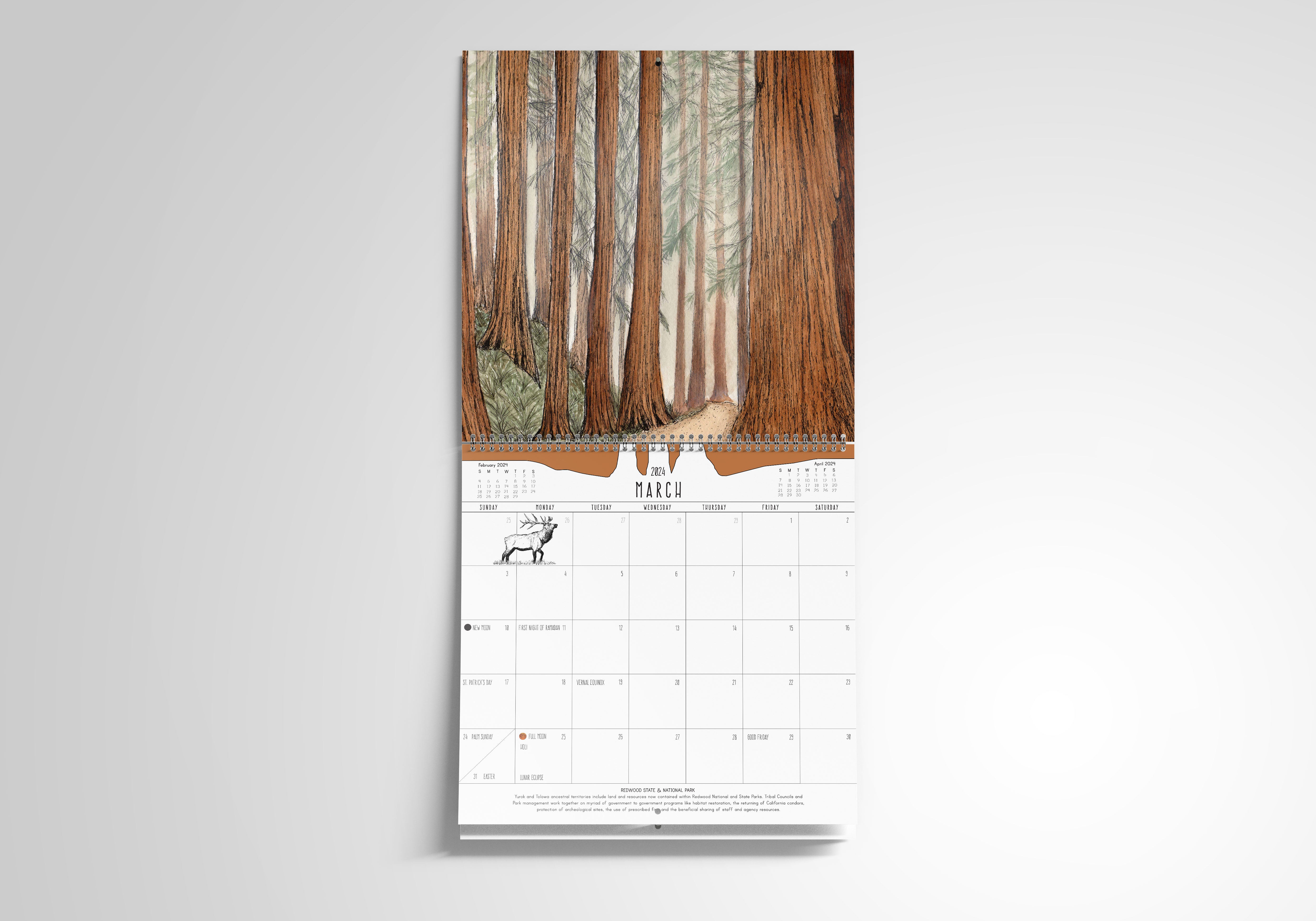 2024 National Park Wall Calendar