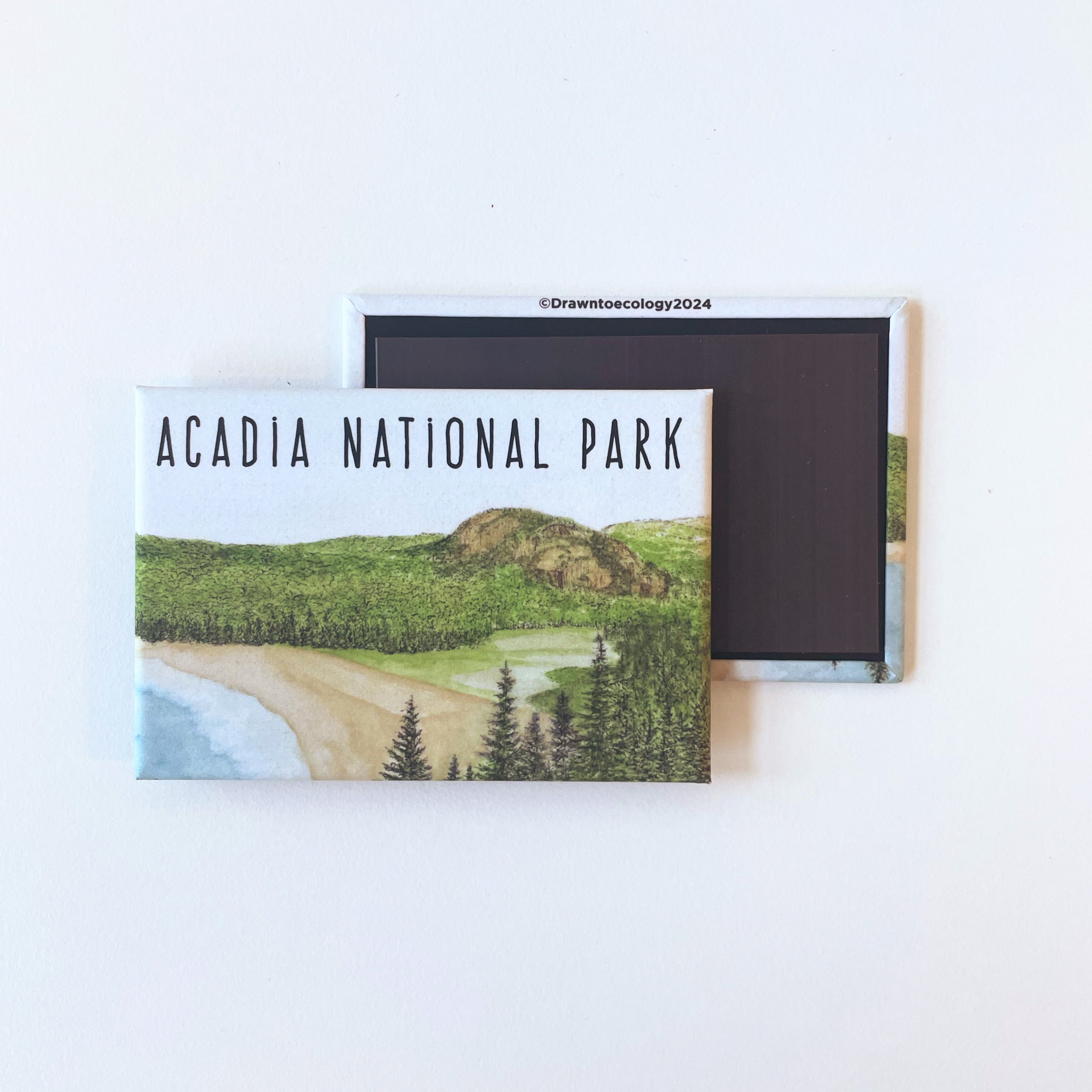 Acadia Sand Beach Magnet
