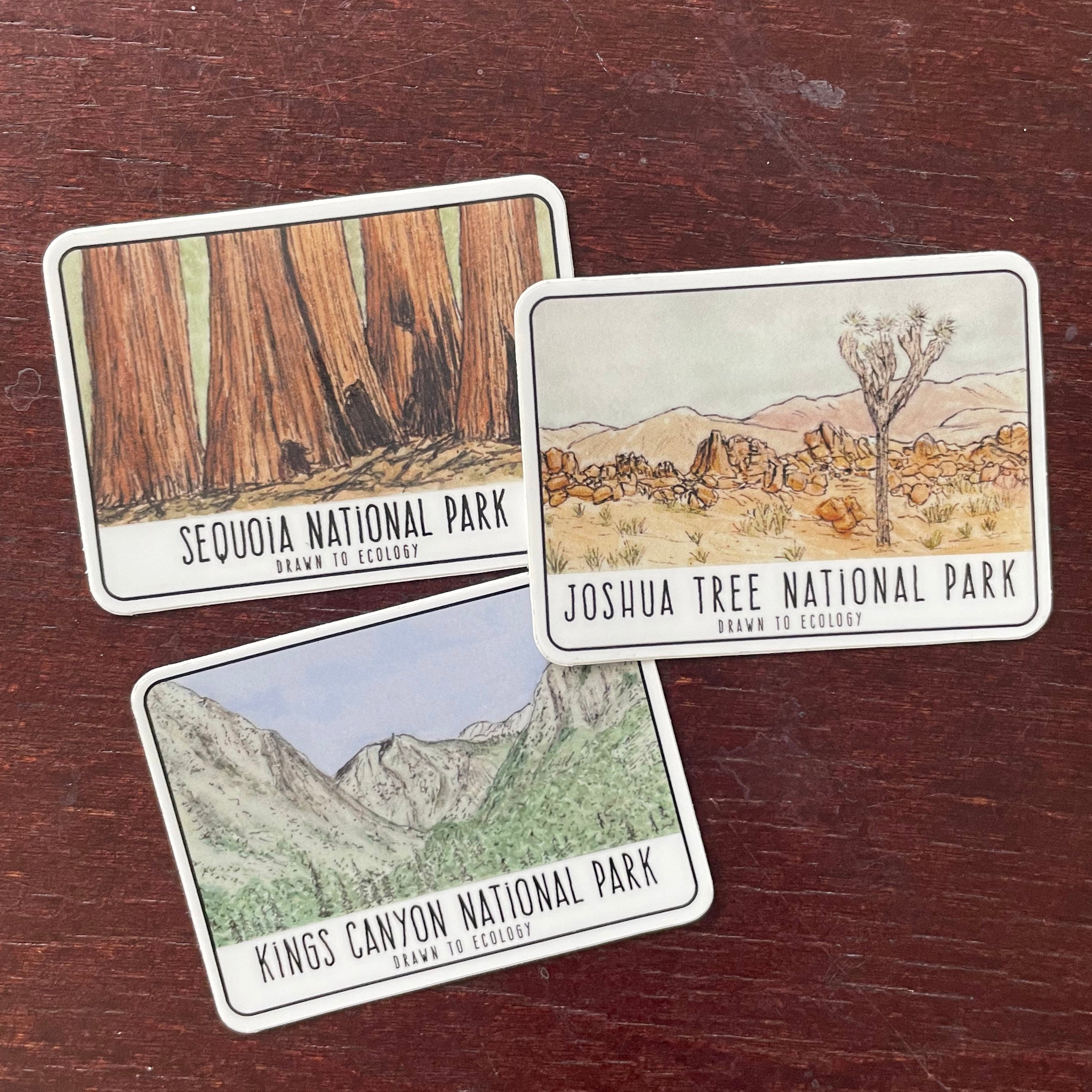 Outdorker Sticker Club August