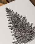 Balsam Fir Letterpress Card