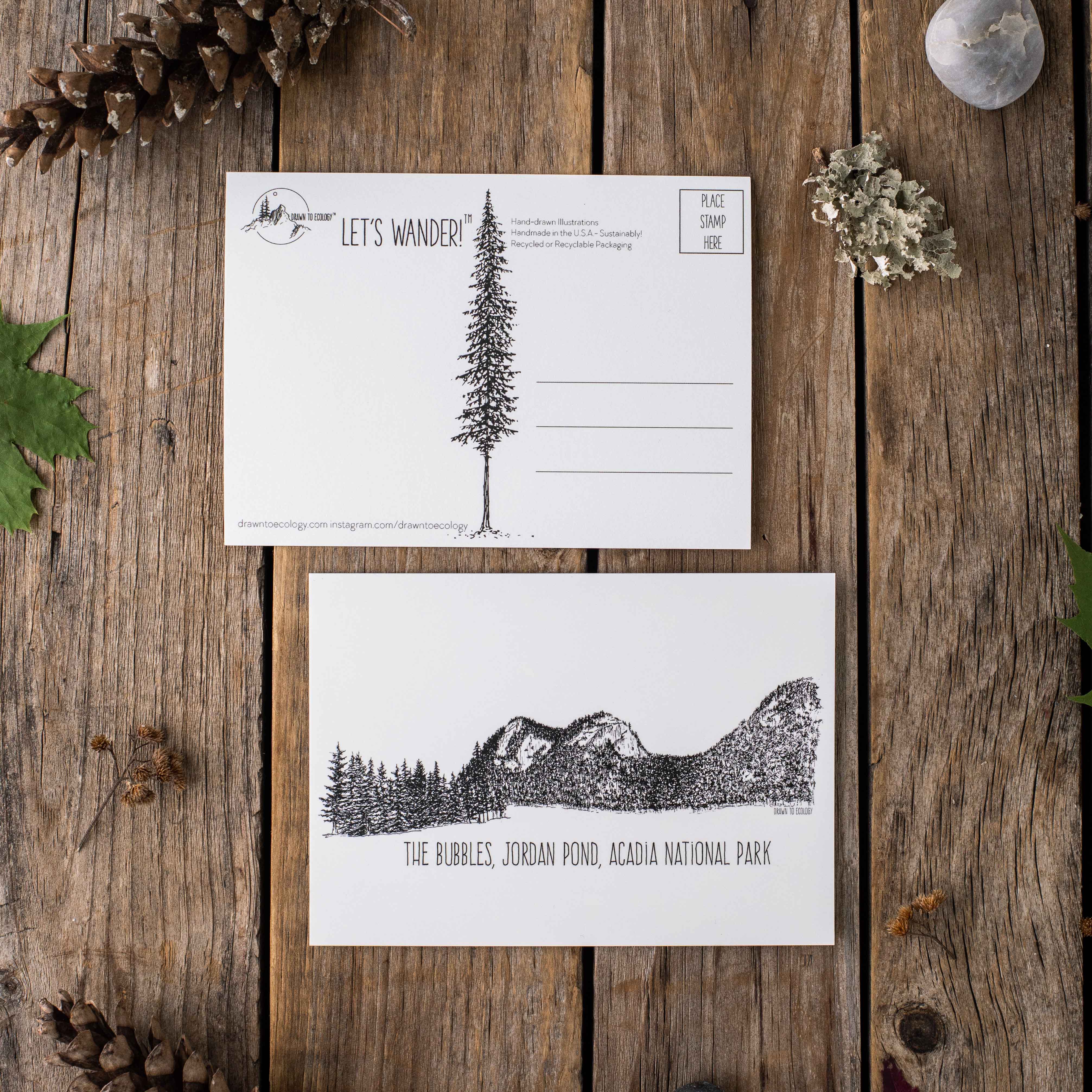 Bubbles Acadia National Park Postcard