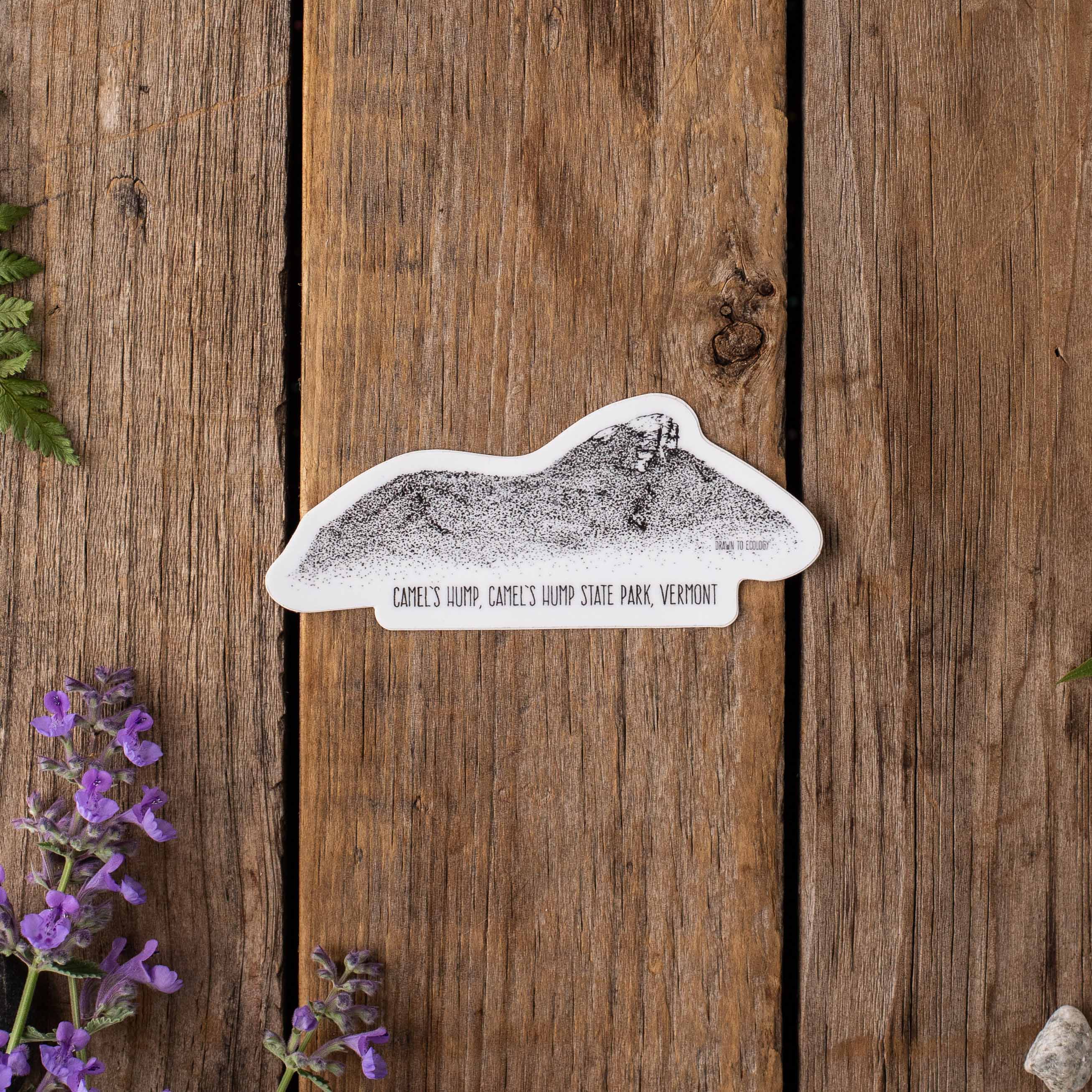 Camel's Hump Sticker
