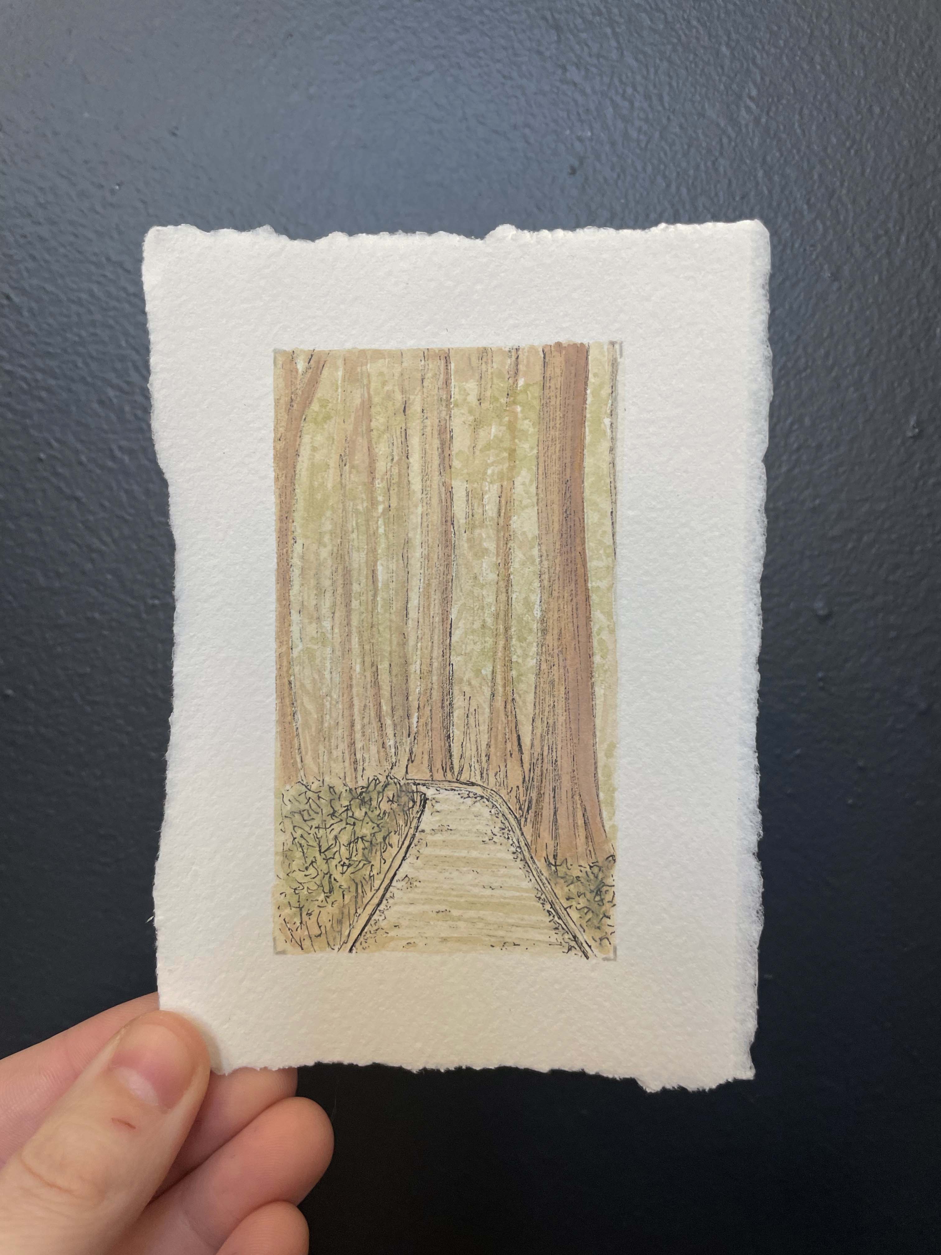 Congaree National Park Mini Watercolor Original