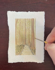 Congaree National Park Mini Watercolor Original