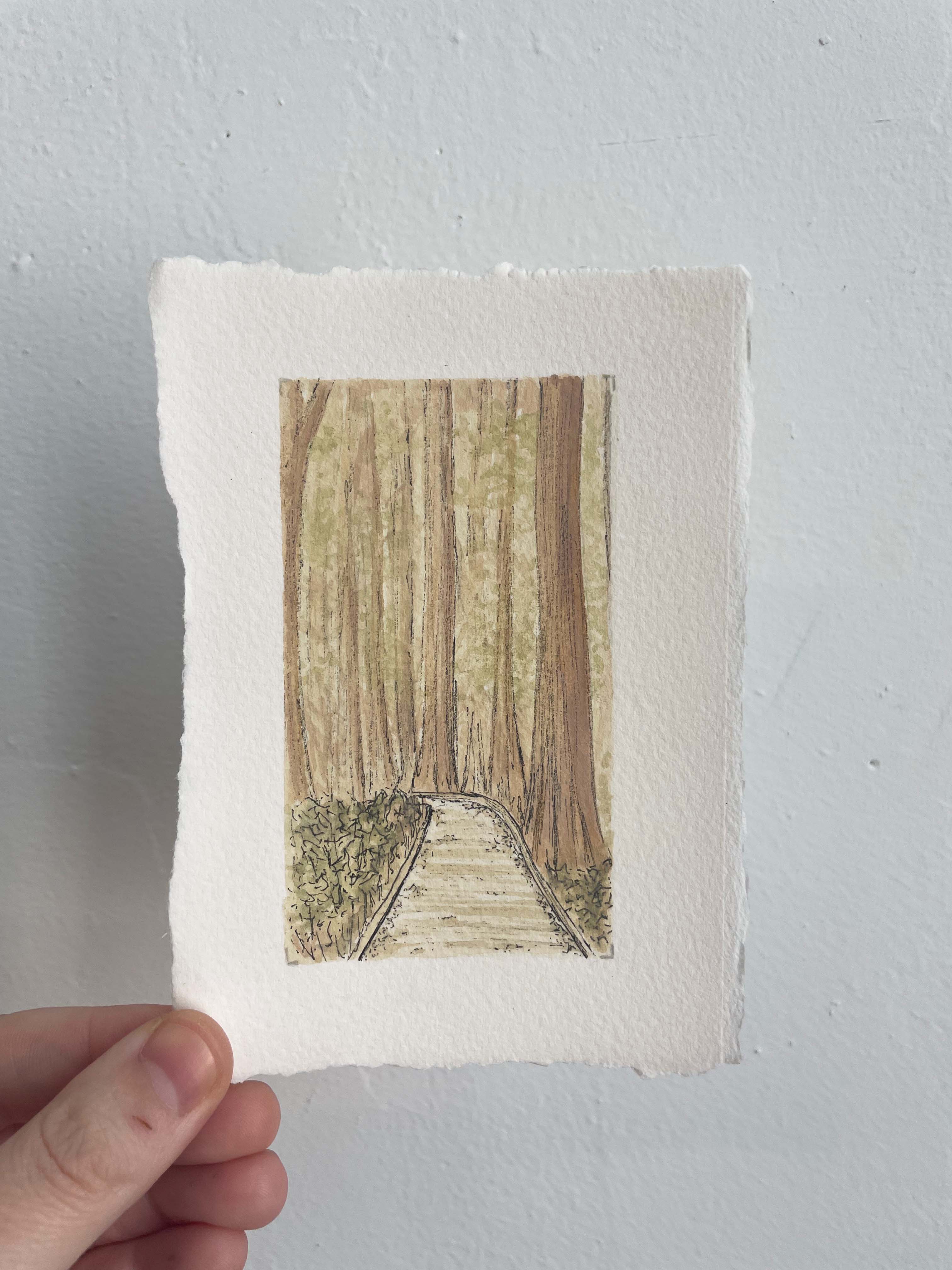 Congaree National Park Mini Watercolor Original