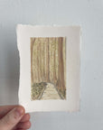 Congaree National Park Mini Watercolor Original
