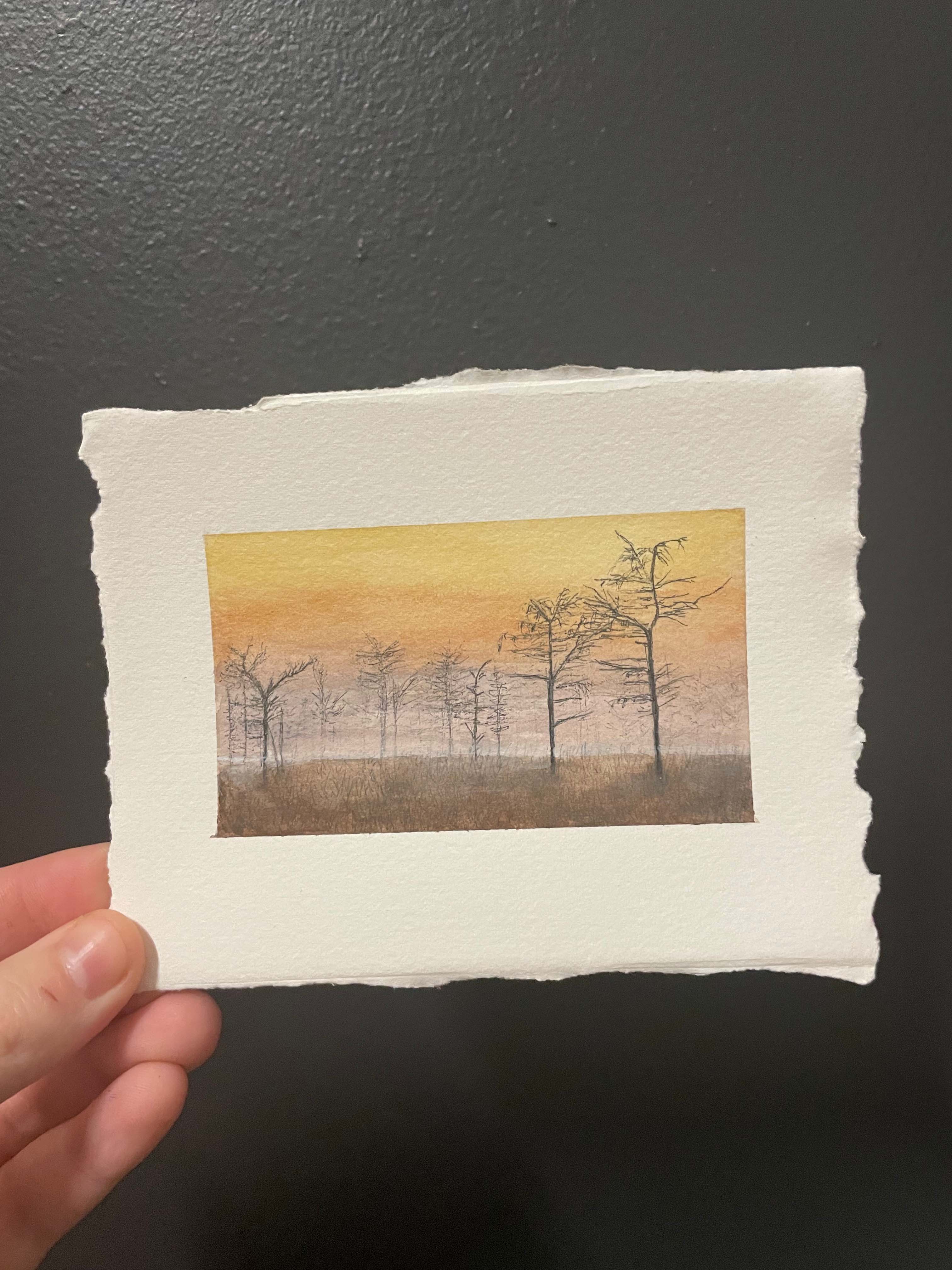 Everglades National Park Mini Watercolor Original