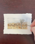 Joshua Tree National Park Mini Watercolor Original