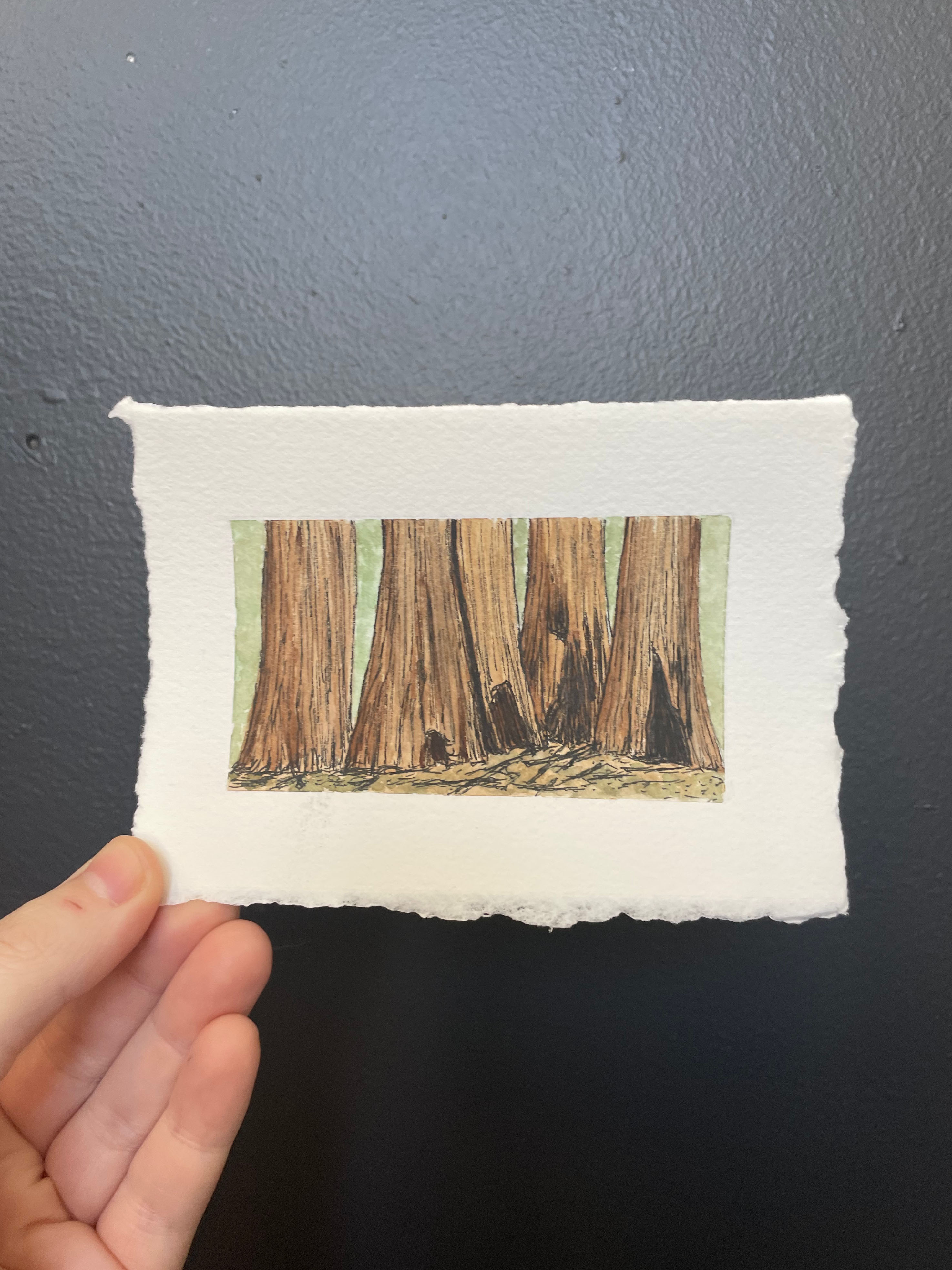 Sequoia National Park Mini Watercolor Original
