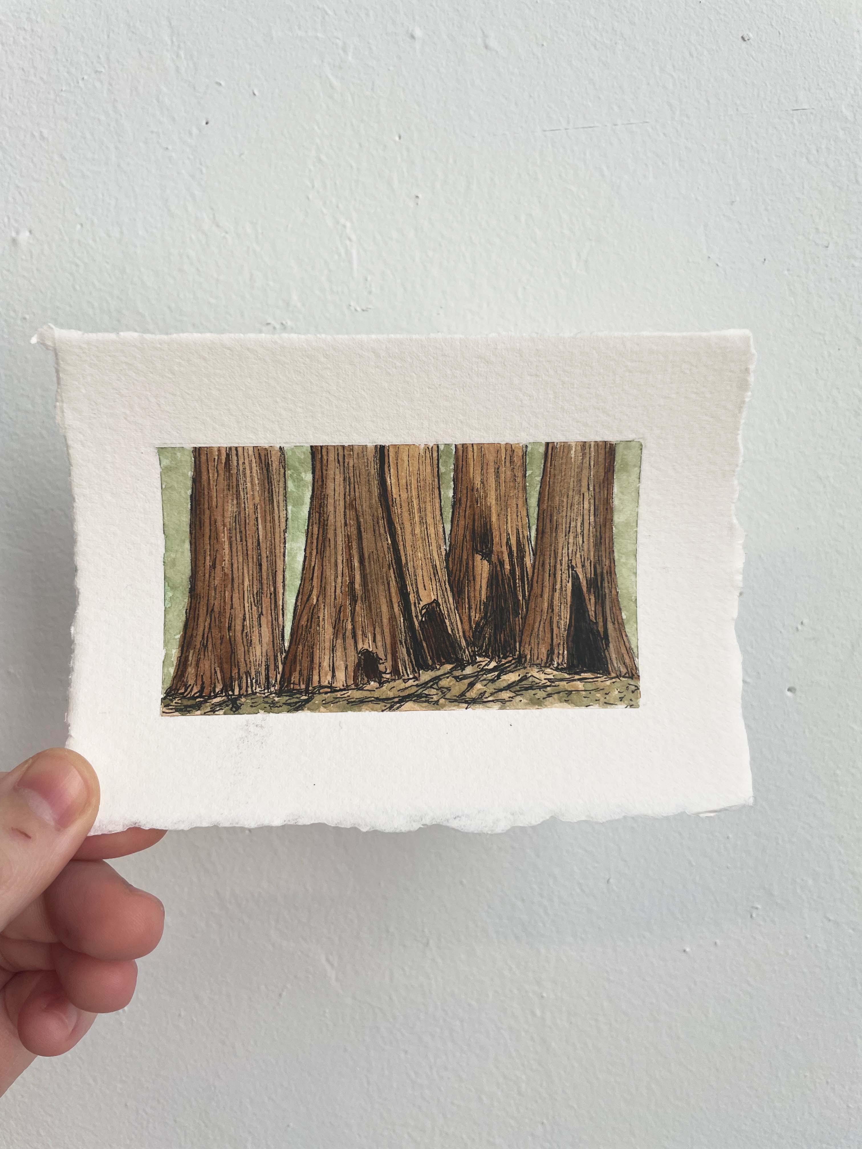 Sequoia National Park Mini Watercolor Original