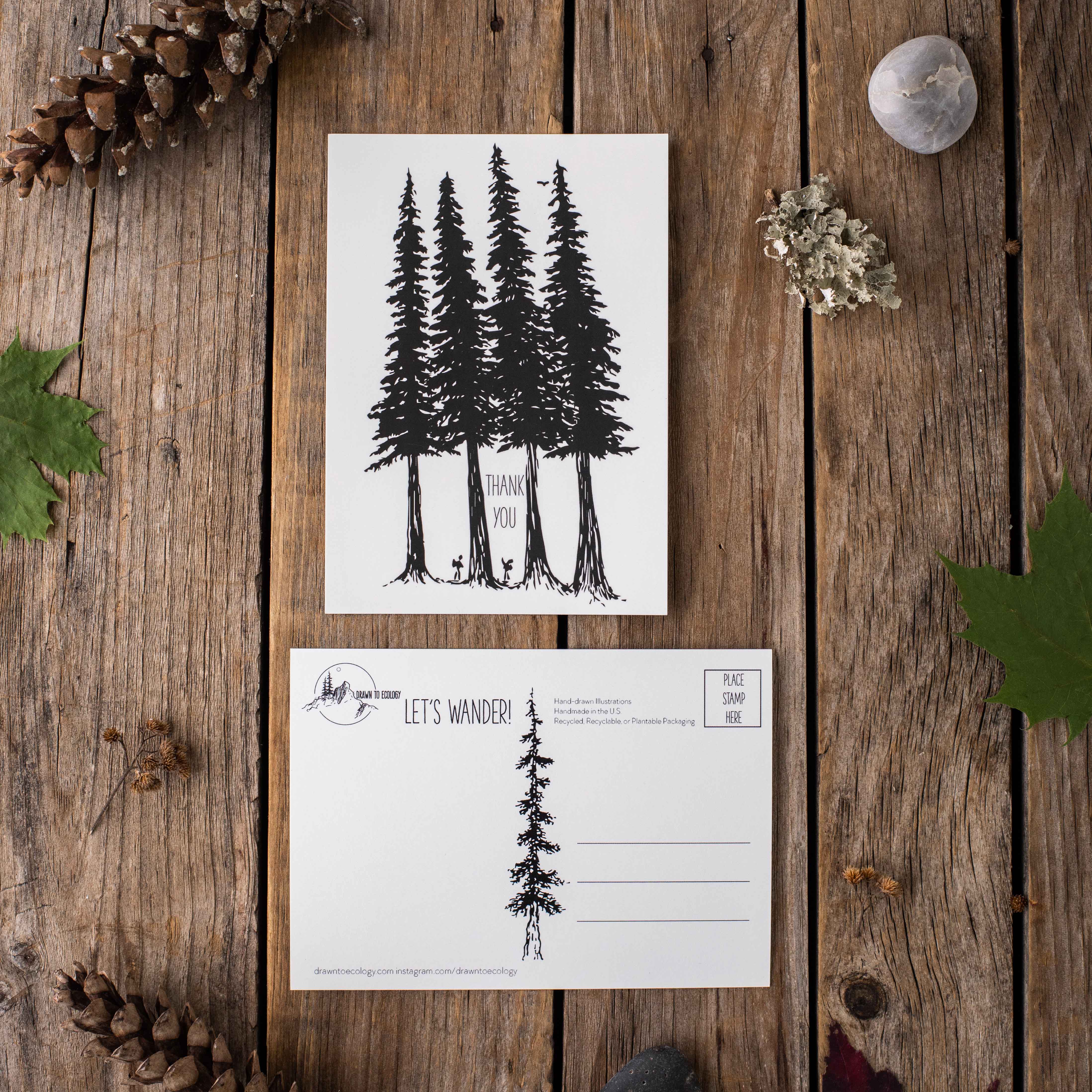 Thank you Hiker Postcard