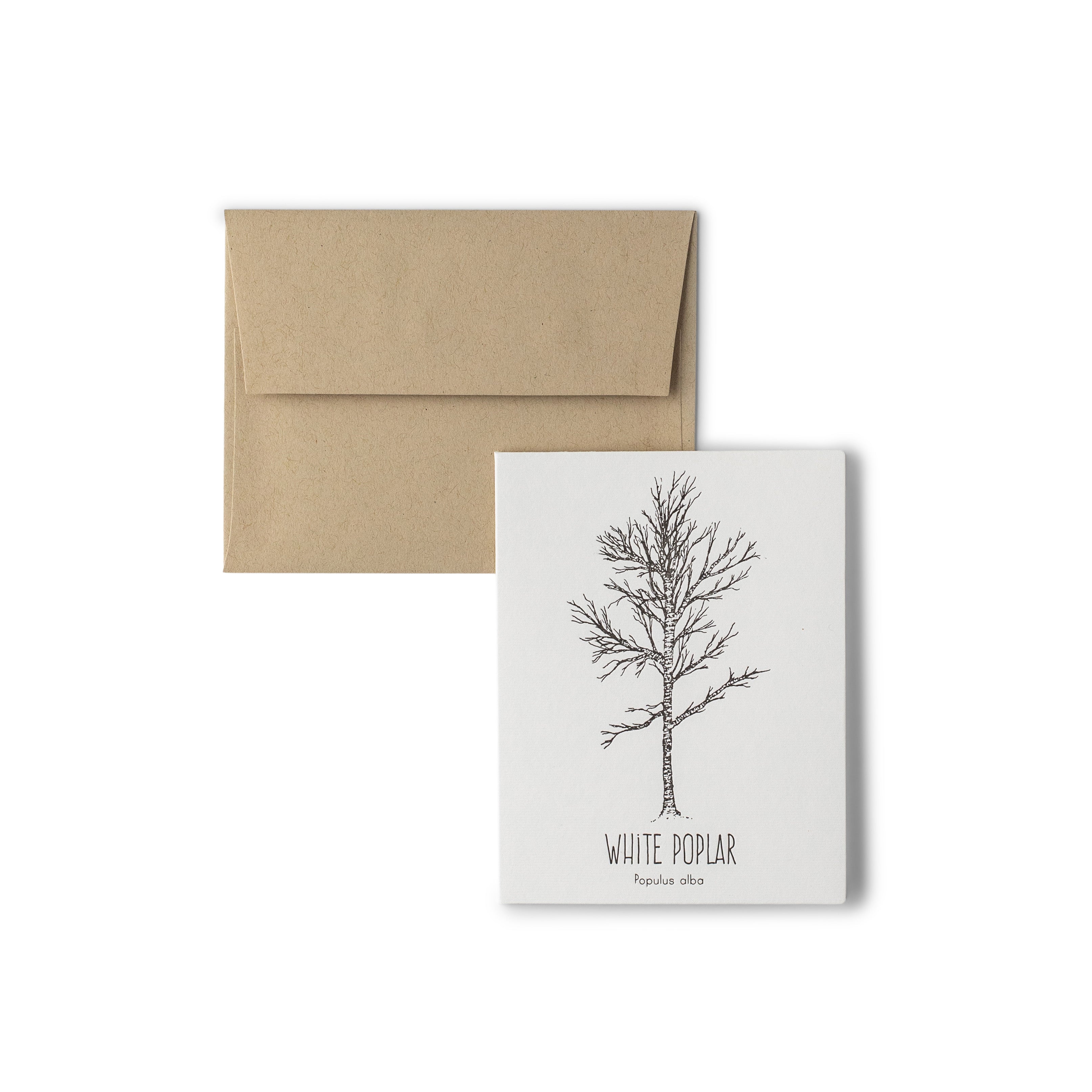 White Poplar Letterpress Card