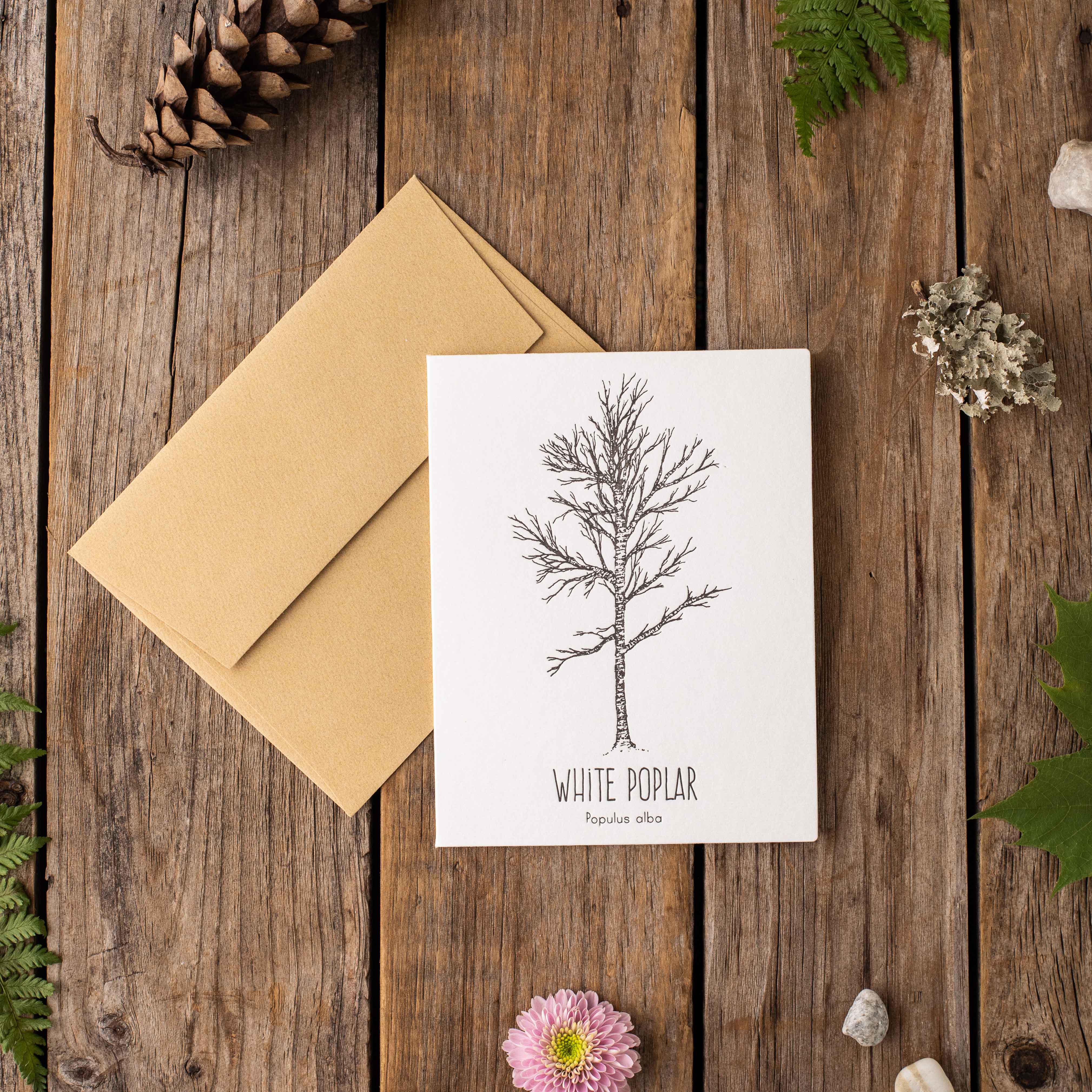 White Poplar Letterpress Card