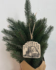 Yosemite Half Dome Ornament, No 2