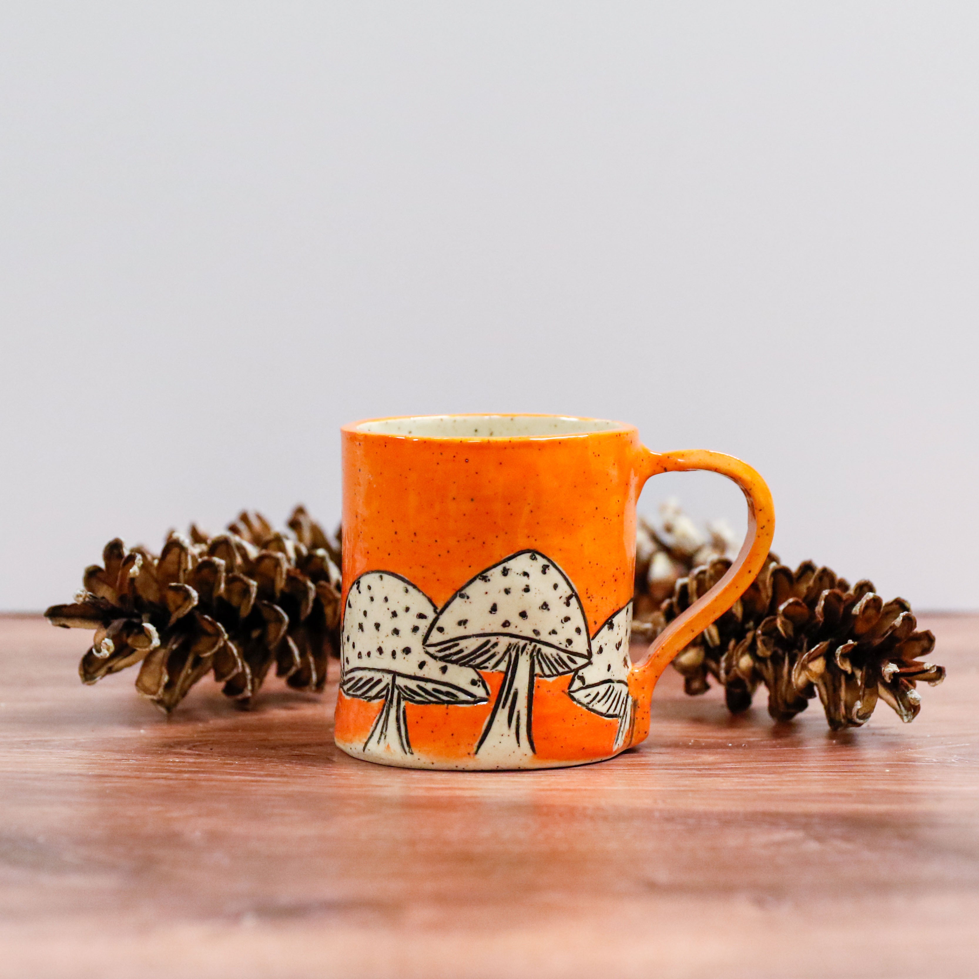 Sunrise Mushroom Mug 2