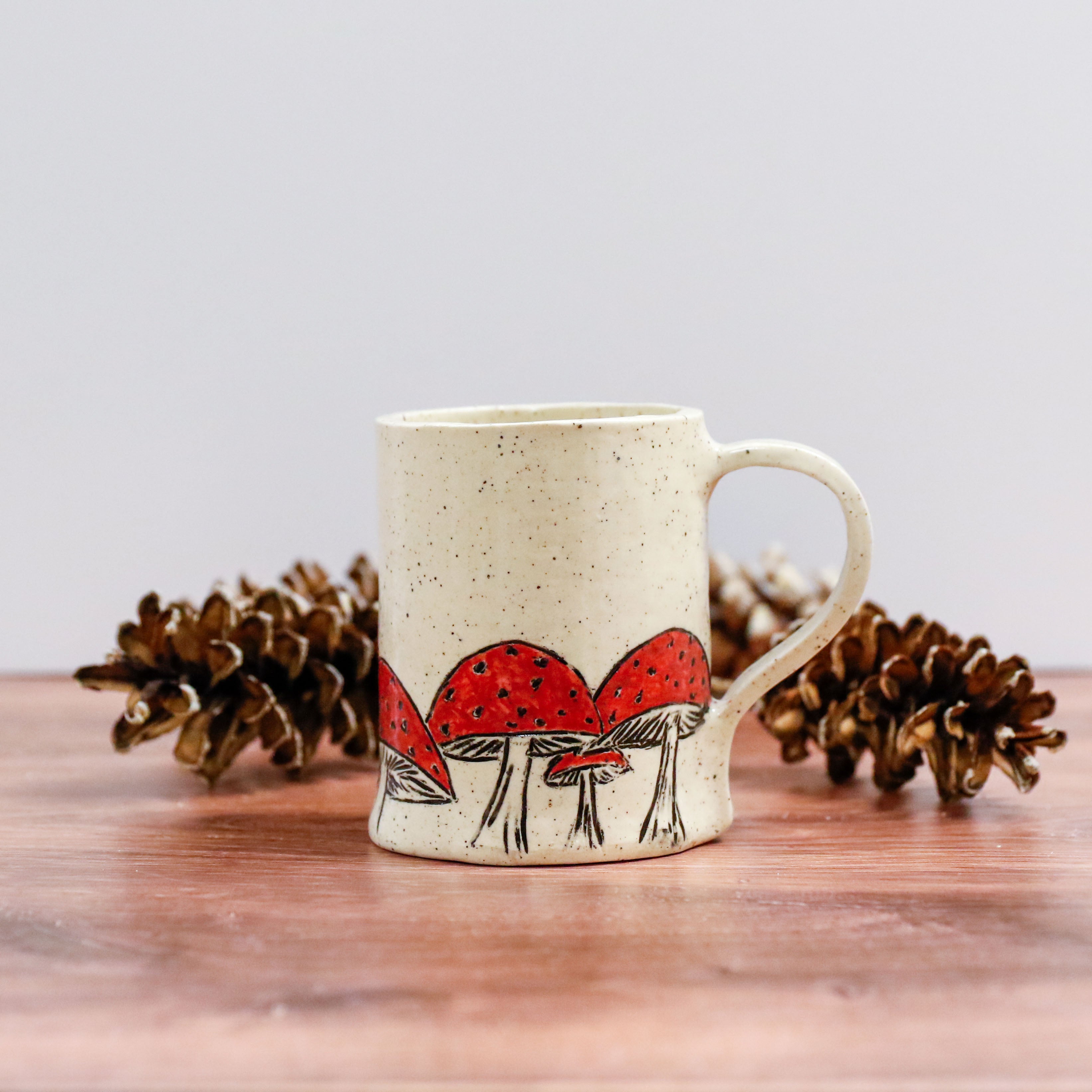 Amanita Mushroom Mug 1