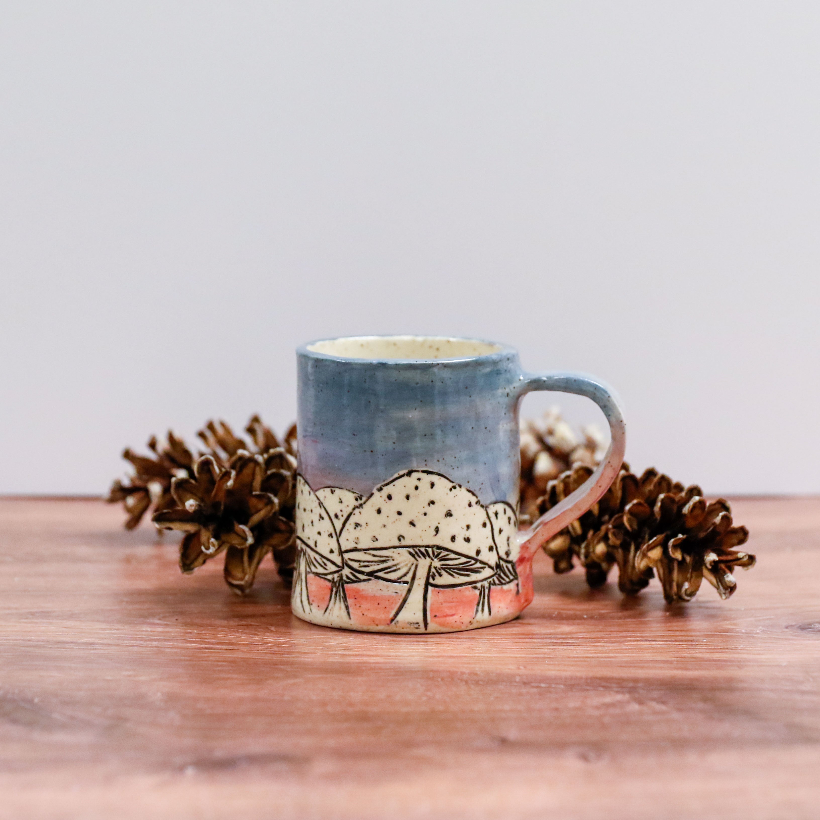 Sunrise Mushroom Mug 3