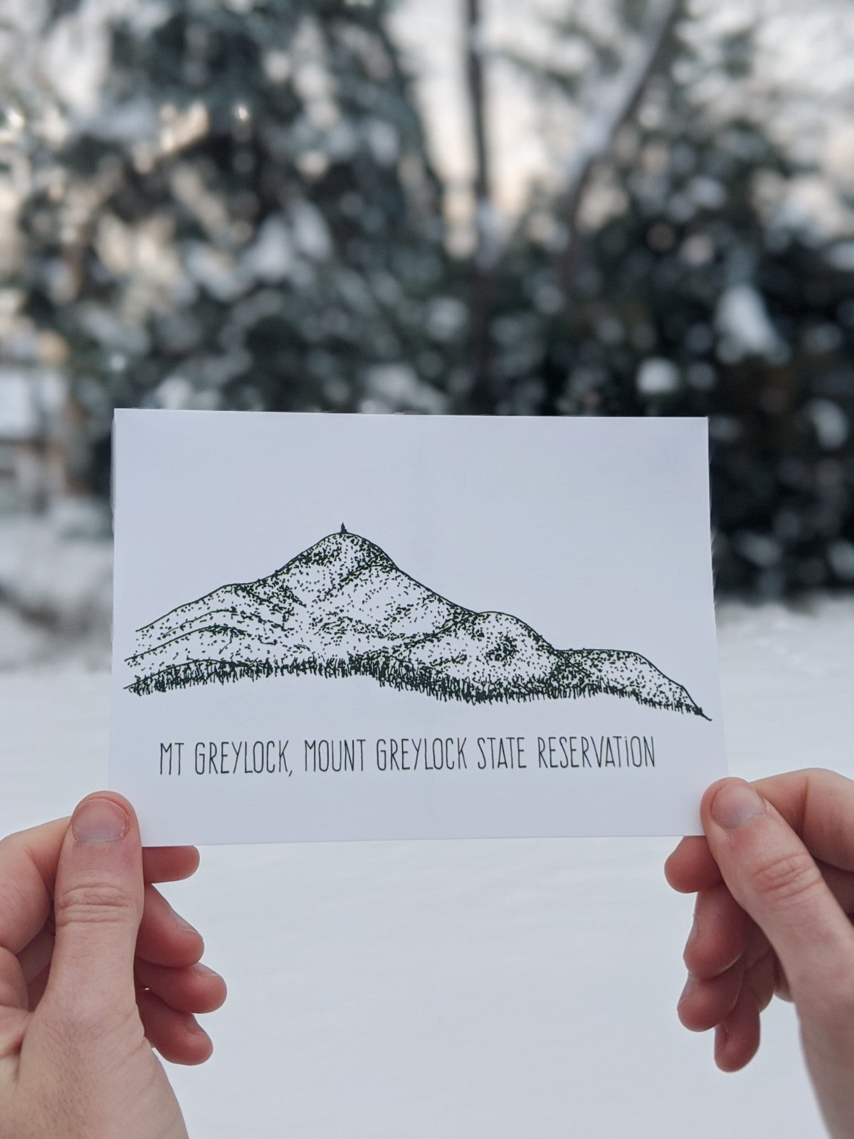 Mt. Greylock Postcard