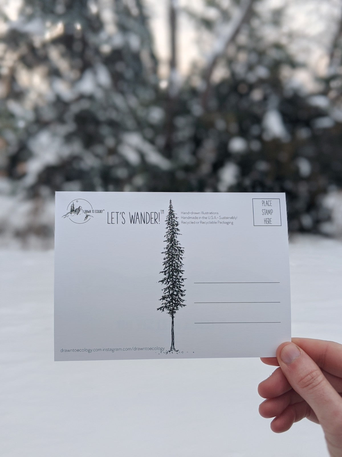 Mountains of New England Postcard