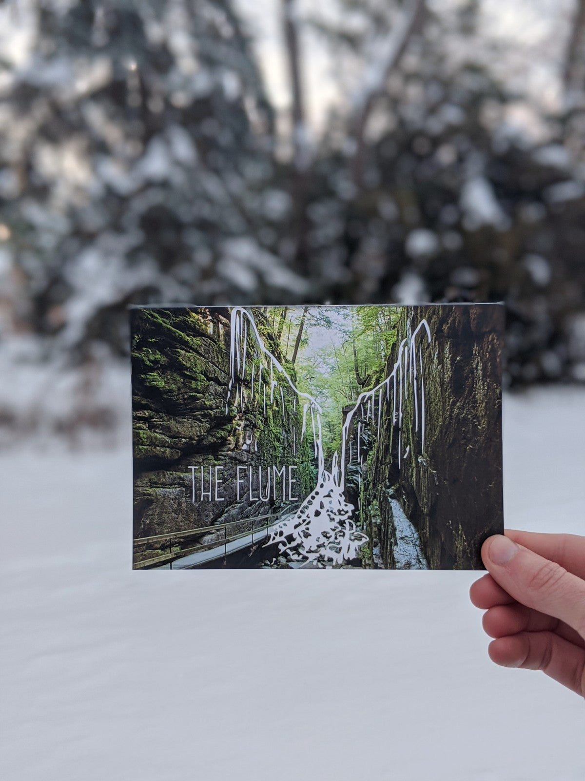 Flume, New Hampshire Postcard