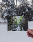 Flume, New Hampshire Postcard
