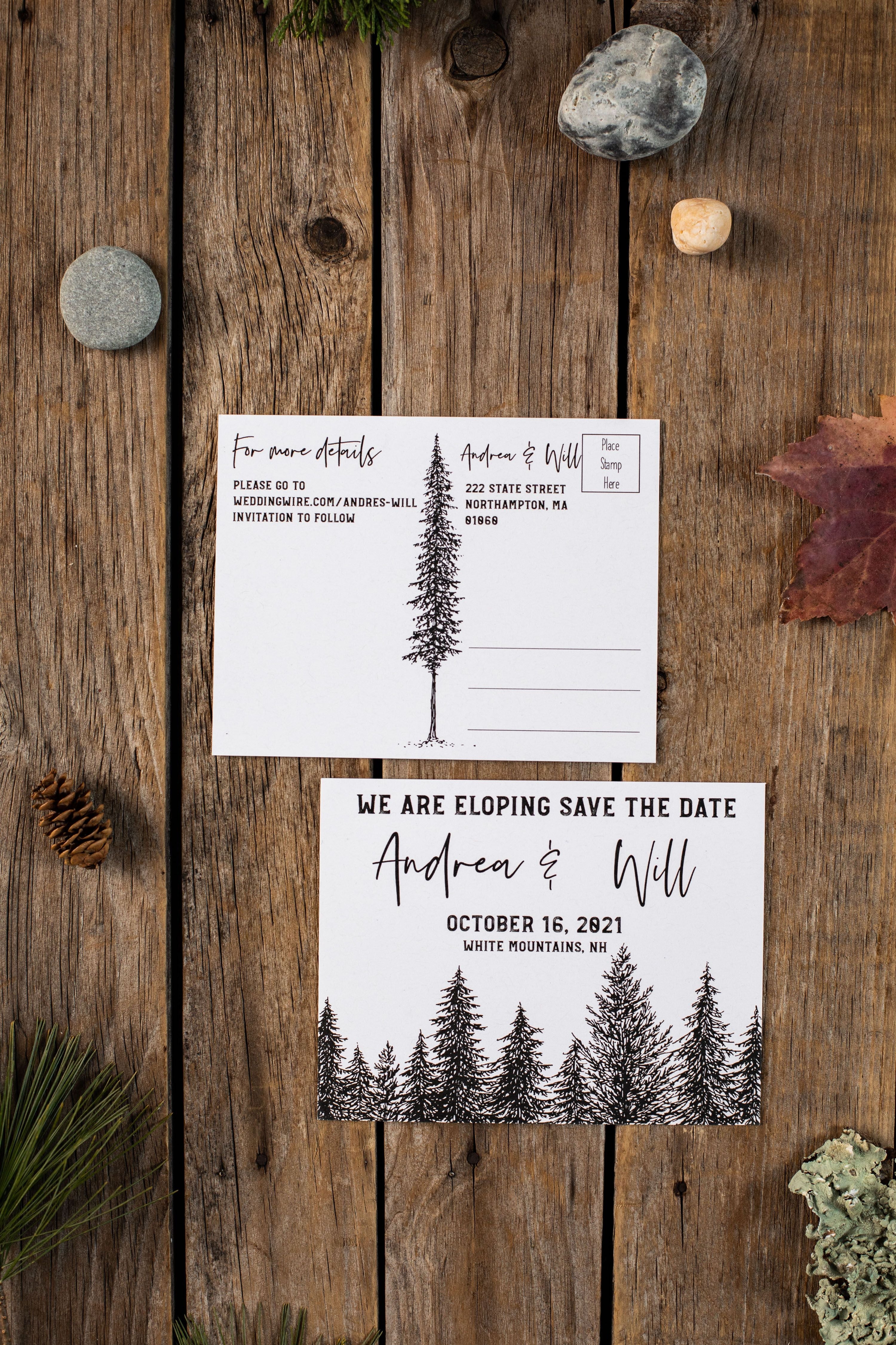 Loons Elopement Announcement