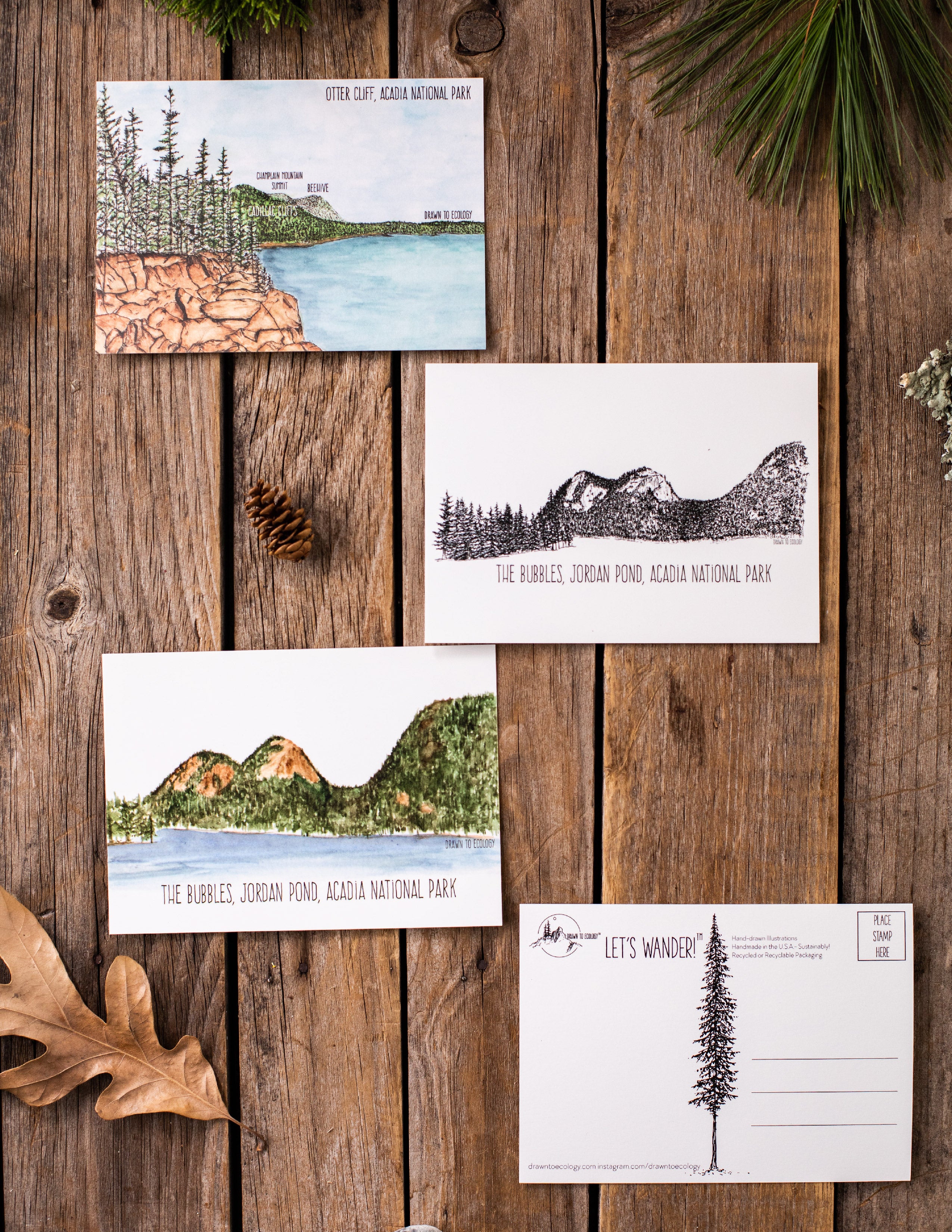 Acadia National Park Bundle