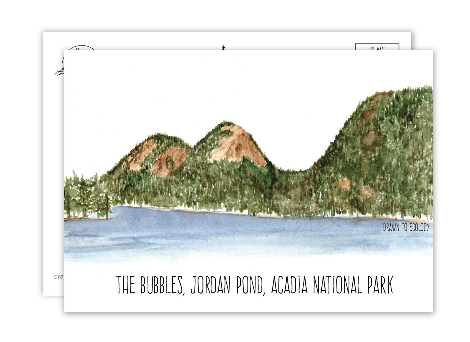 Bubbles Acadia National Park Watercolor Postcard
