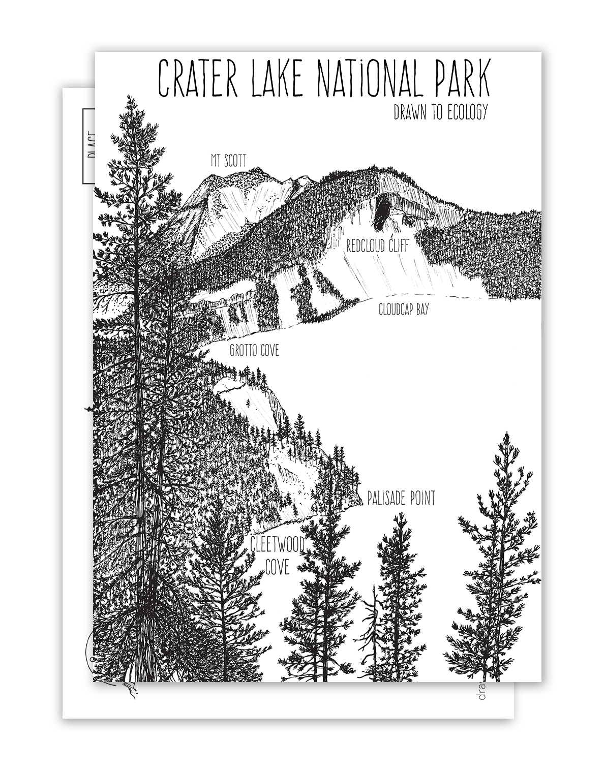Cleetwood Cove, Crater Lake NPS Postcard