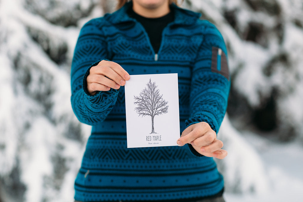 Red Maple Letterpress Card