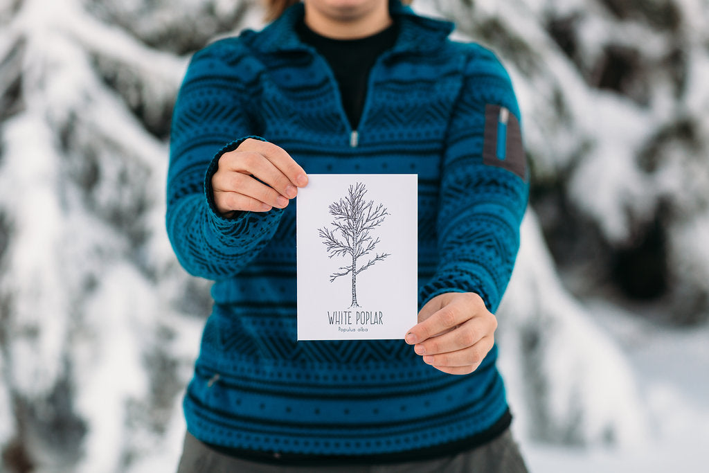 White Poplar Letterpress Card