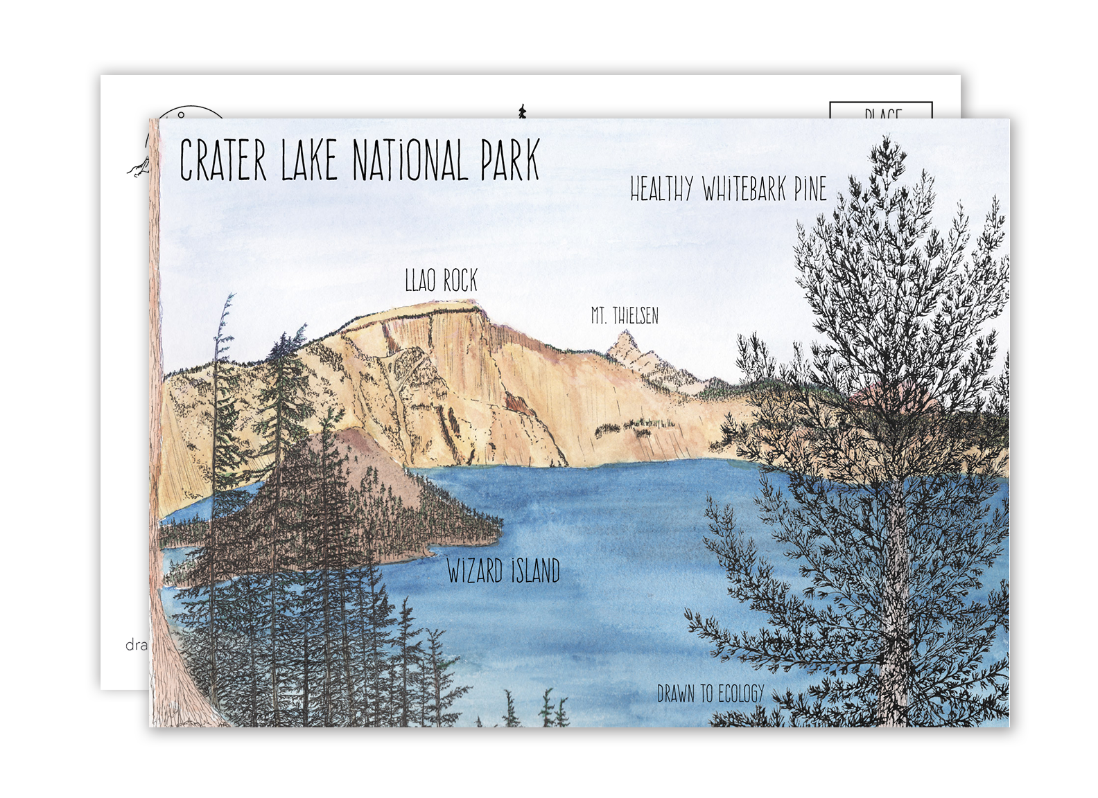 Crater Lake National Park Postcard