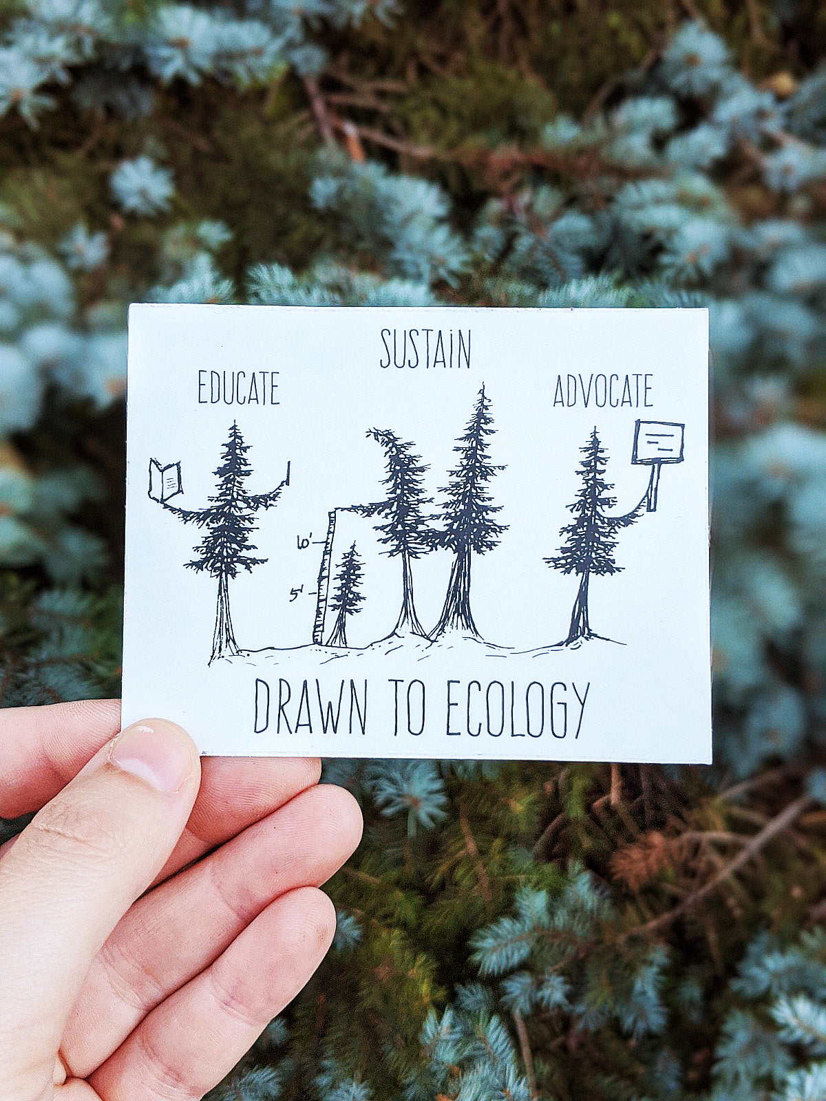 Educate Sustain Advocate Sticker