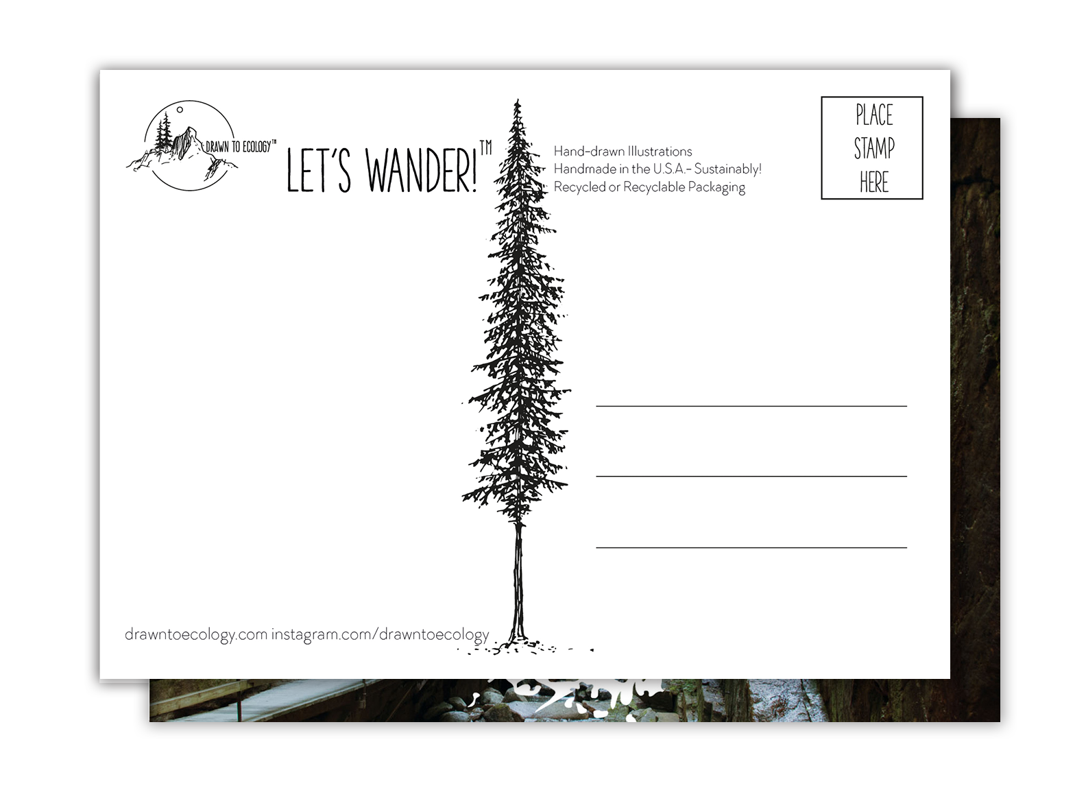 Flume, New Hampshire Postcard