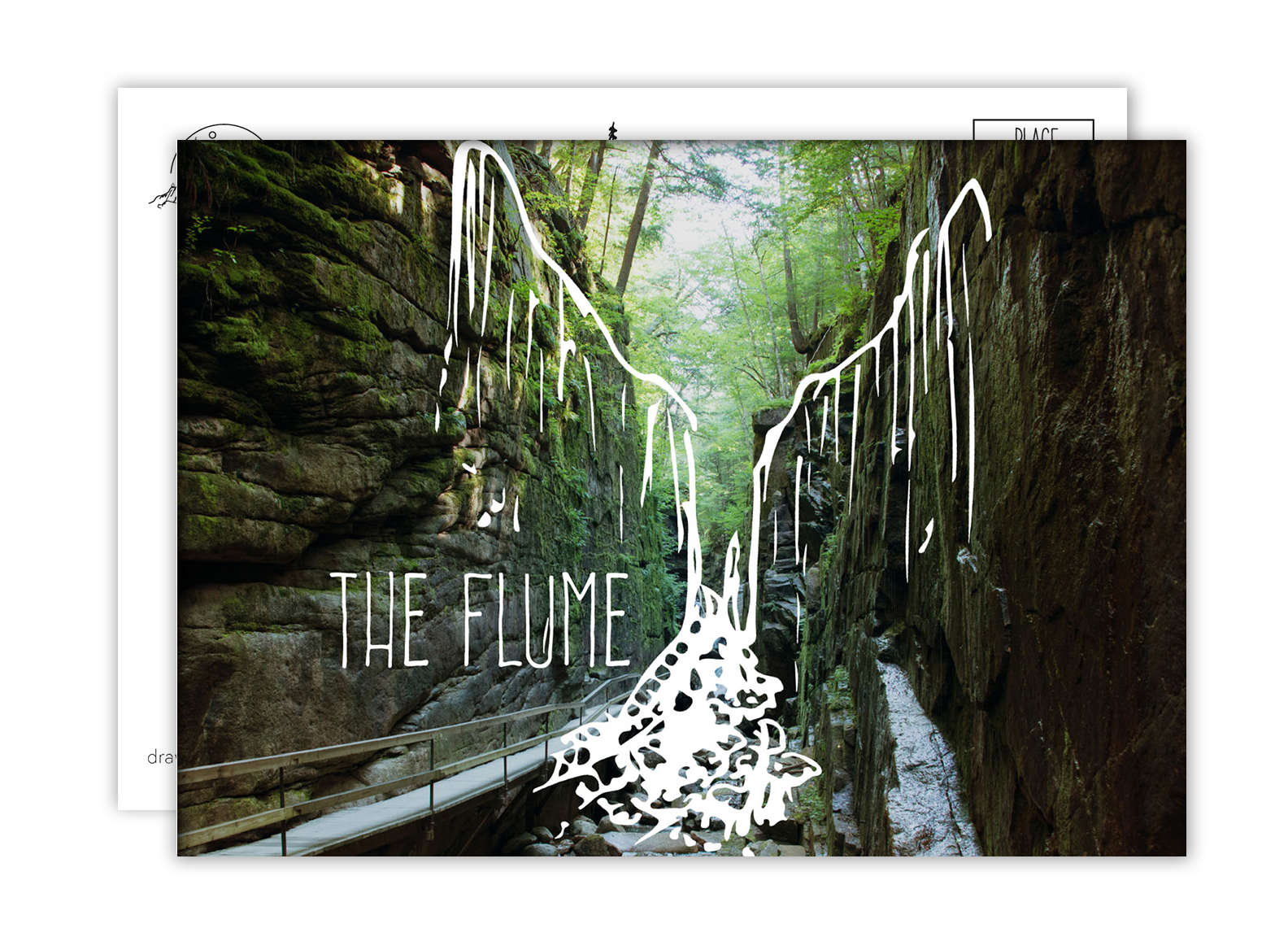Flume, New Hampshire Postcard