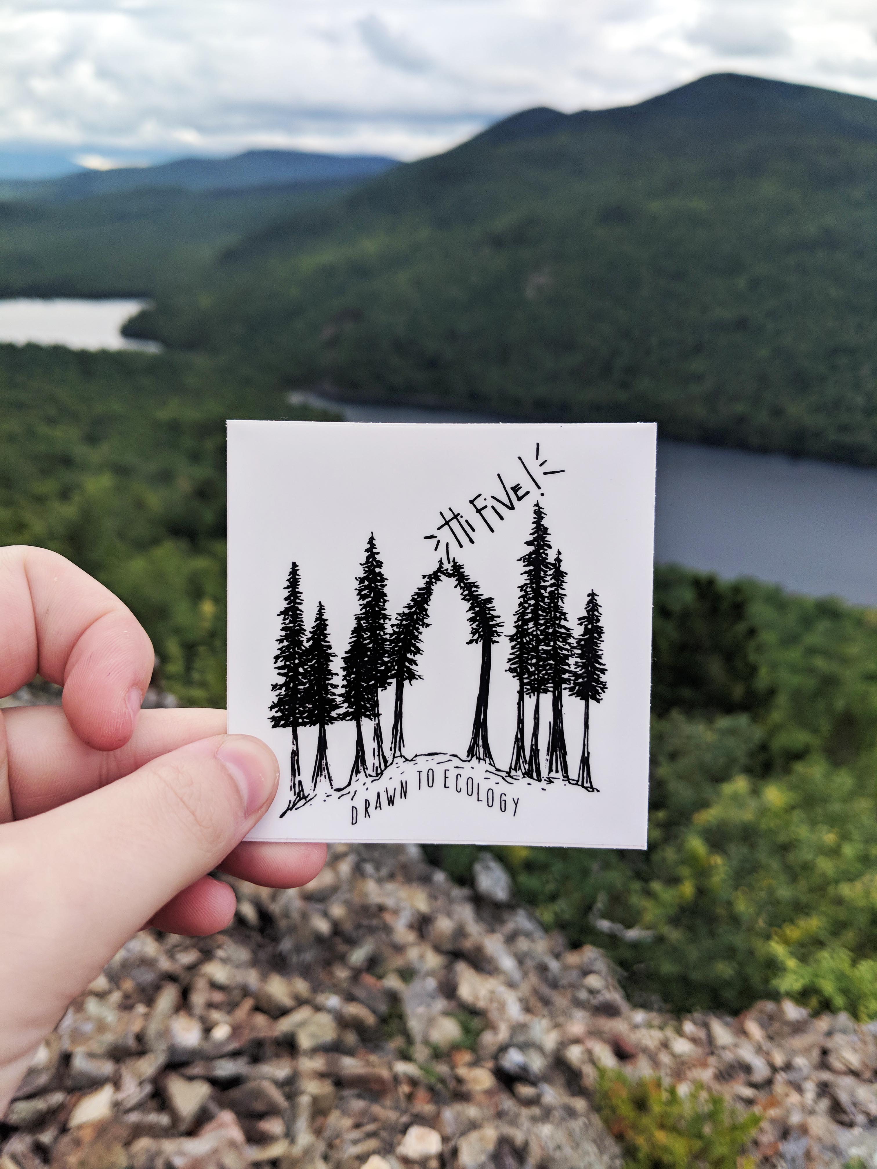 Hi Five Trees Sticker