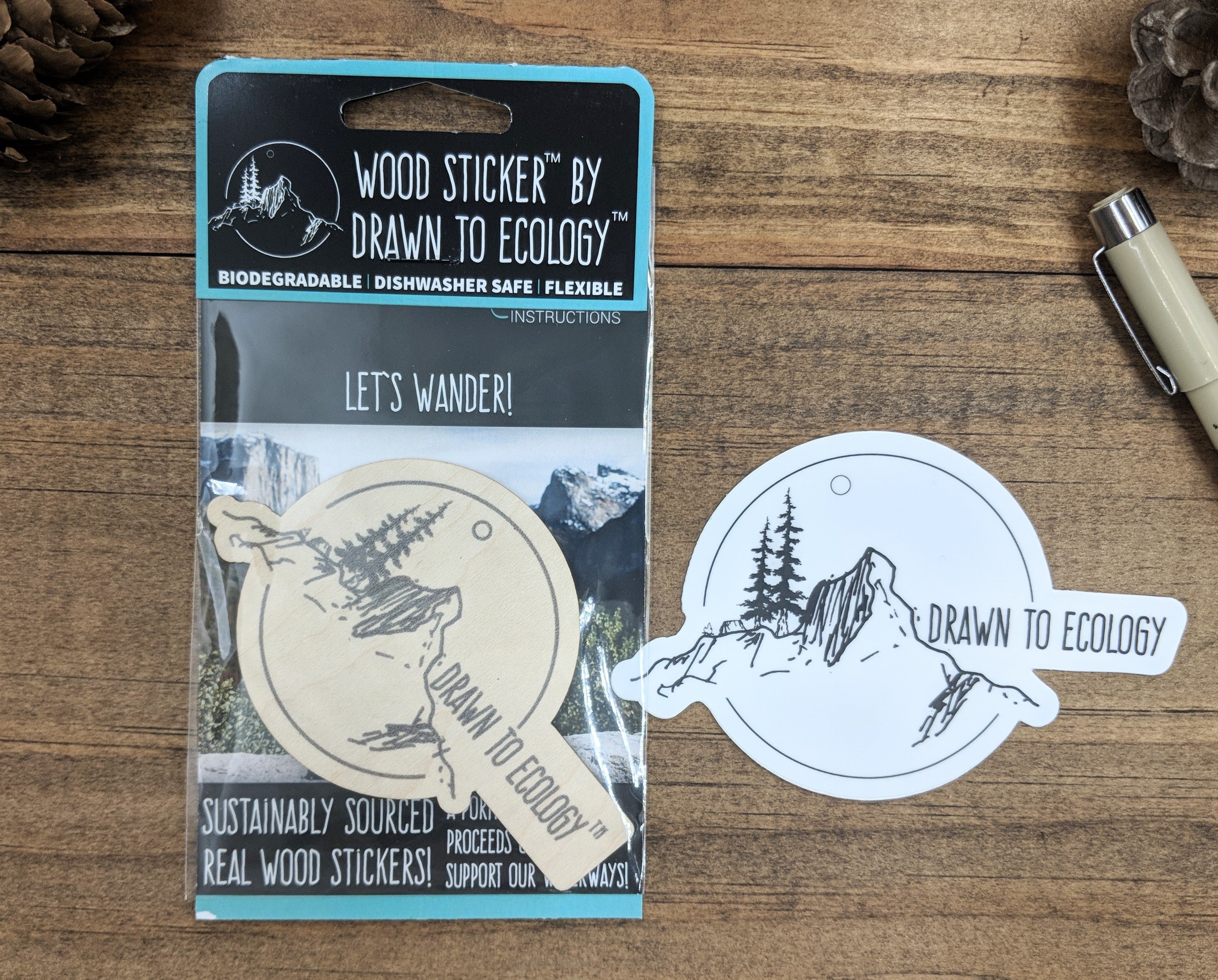 Drawn to Ecology Sticker