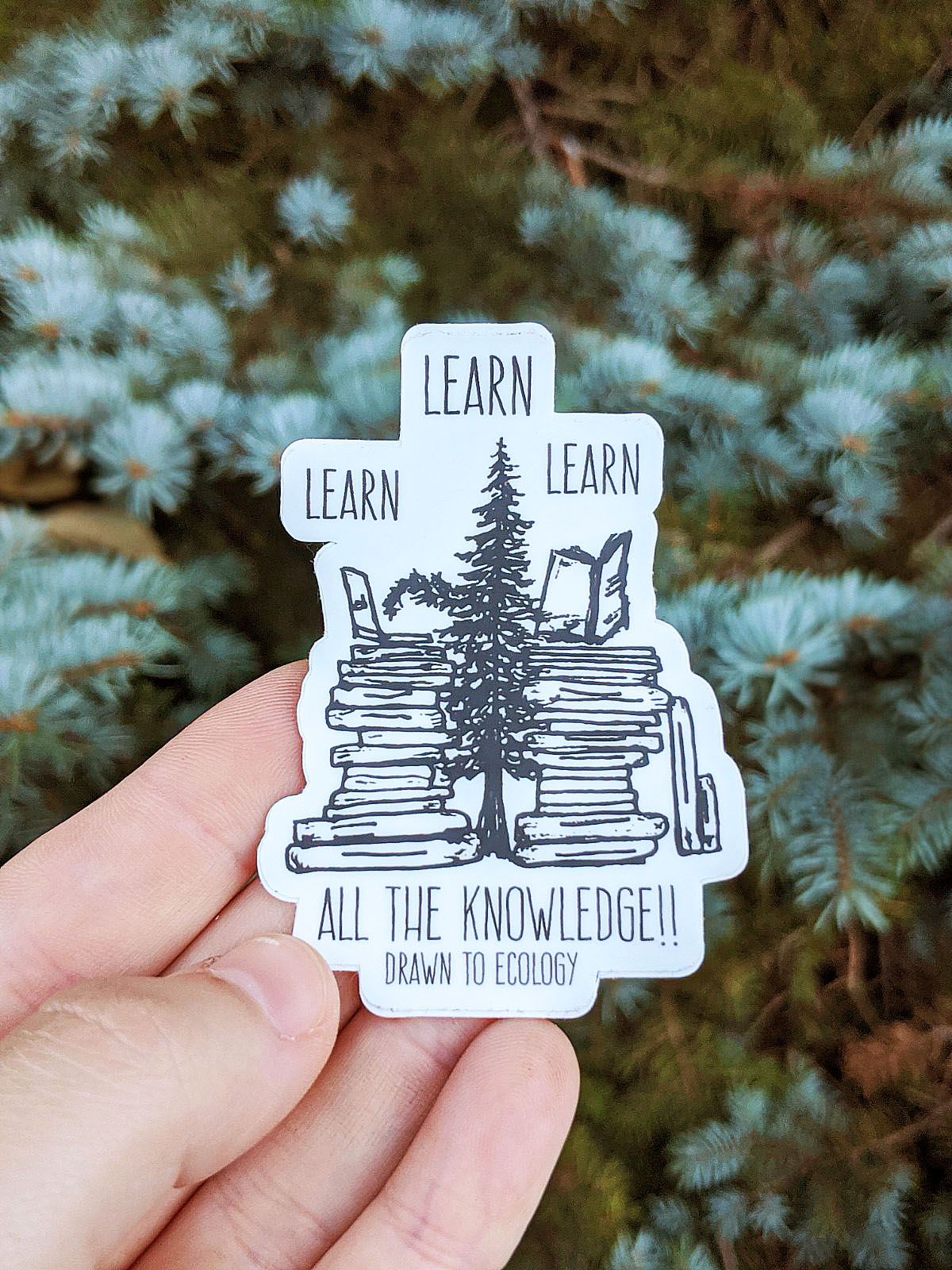 Learn Sticker