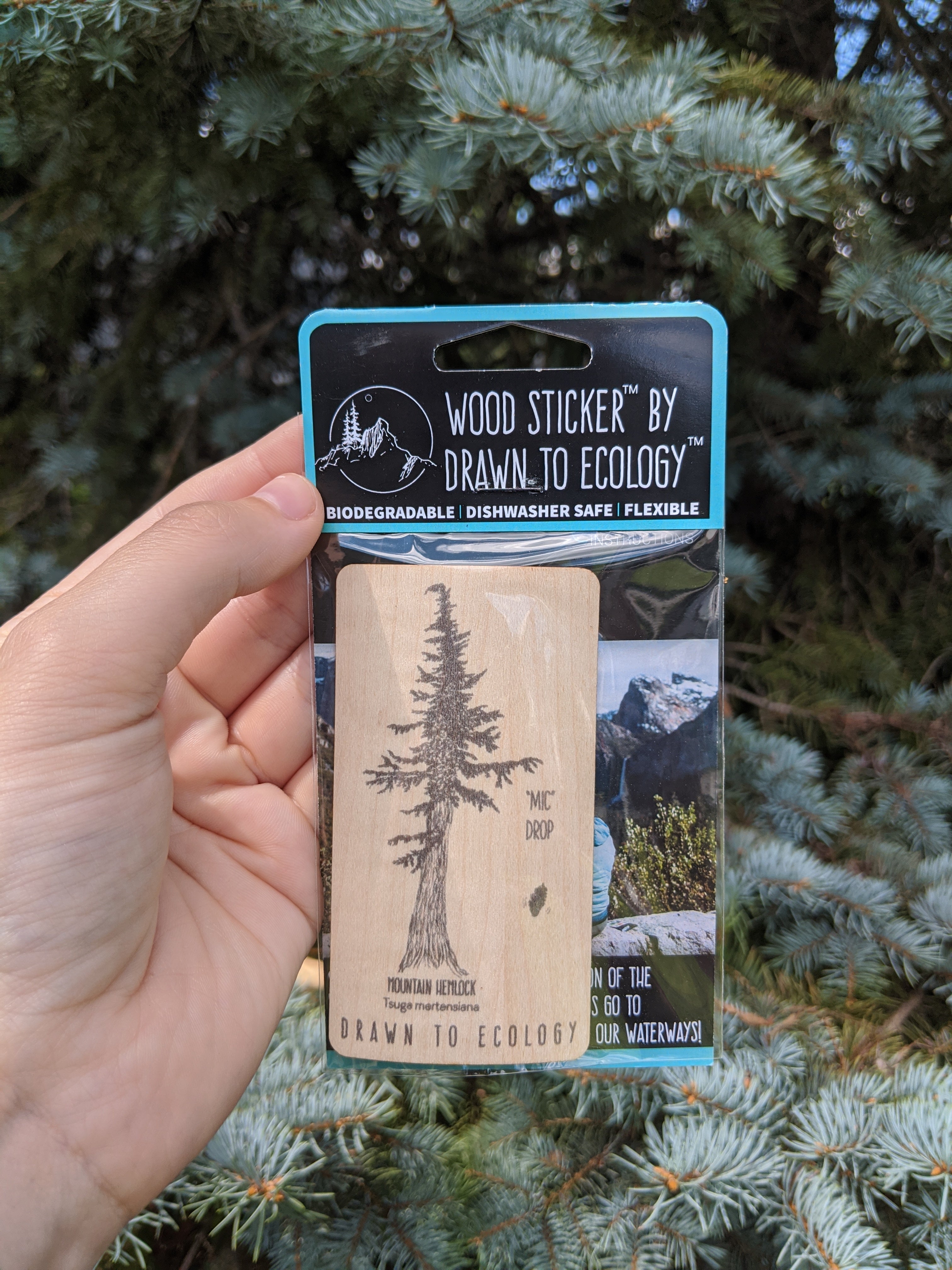 Wood Sticker Special