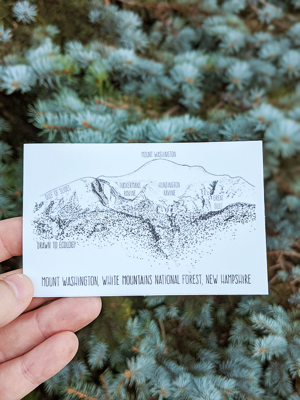 Mt. Washington Sticker