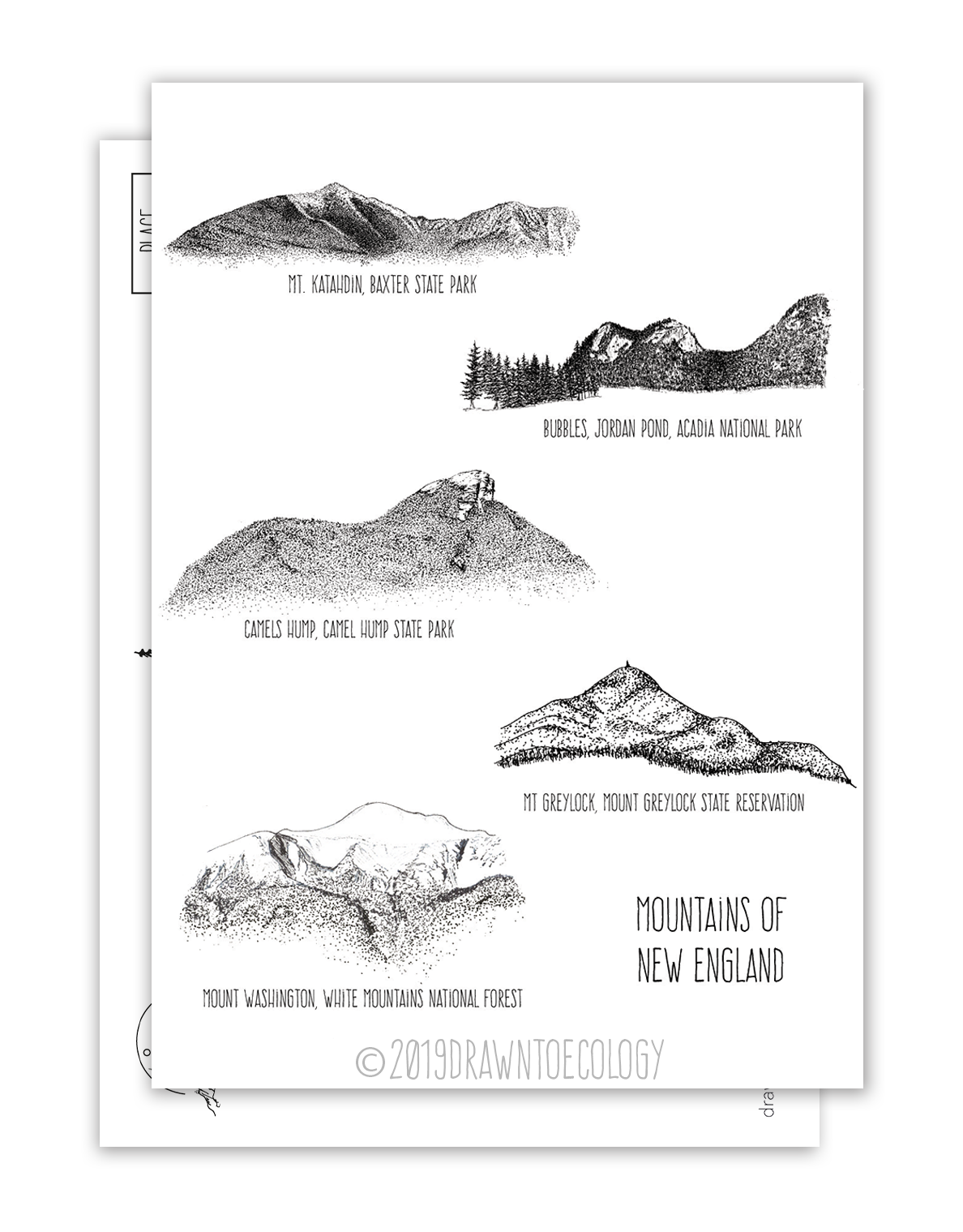 Mountains of New England Postcard