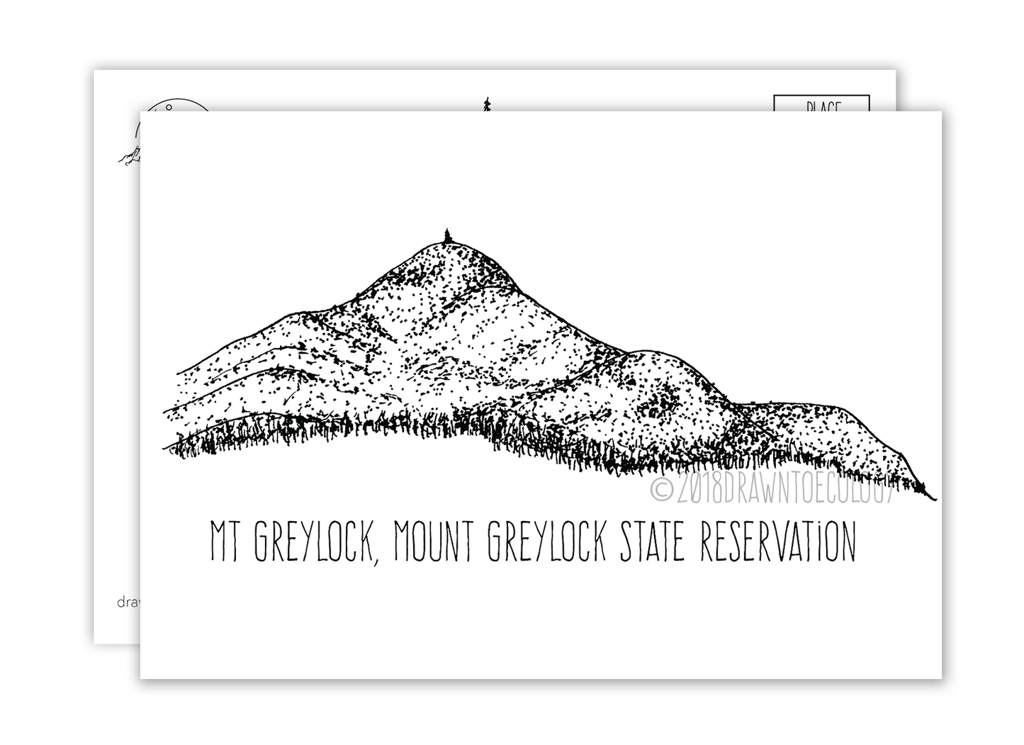 Mt. Greylock Postcard