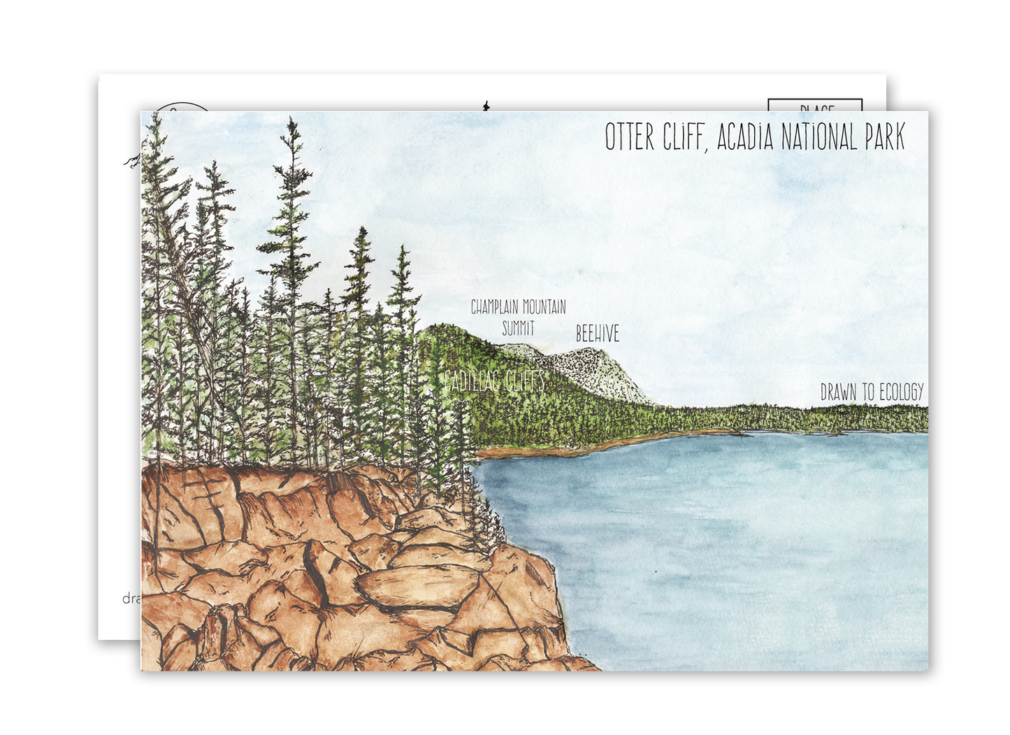 Otter Cliff Acadia National Park Postcard