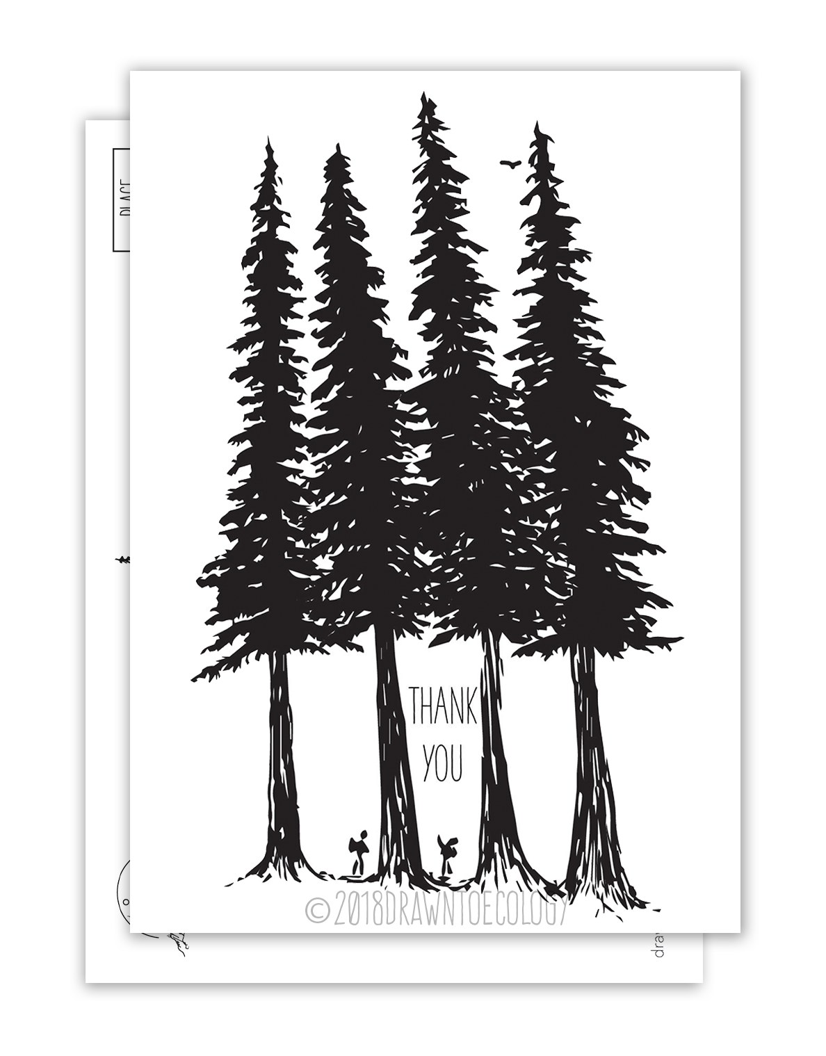 Thank you Hiker Postcard