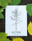 White Poplar Letterpress Card