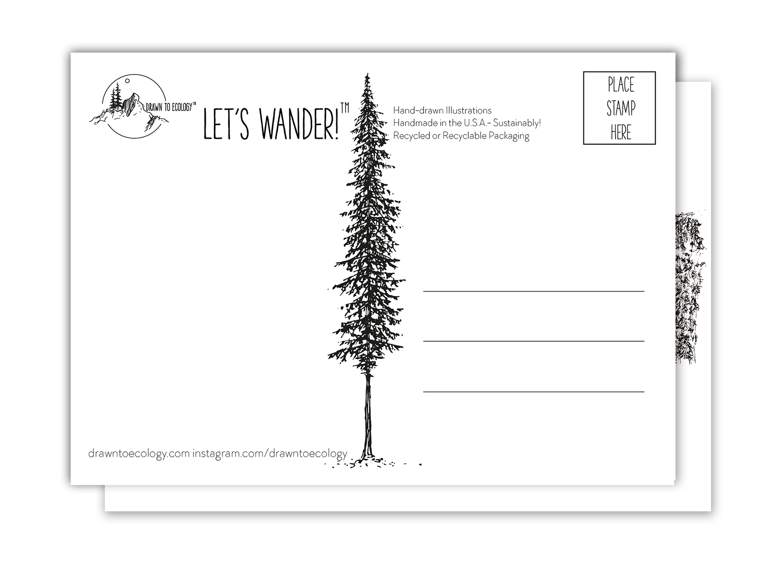 Bubbles Acadia National Park Postcard