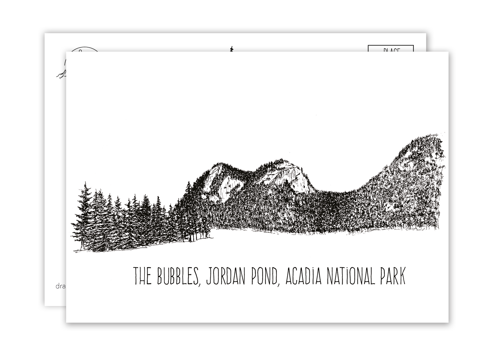 Bubbles Acadia National Park Postcard