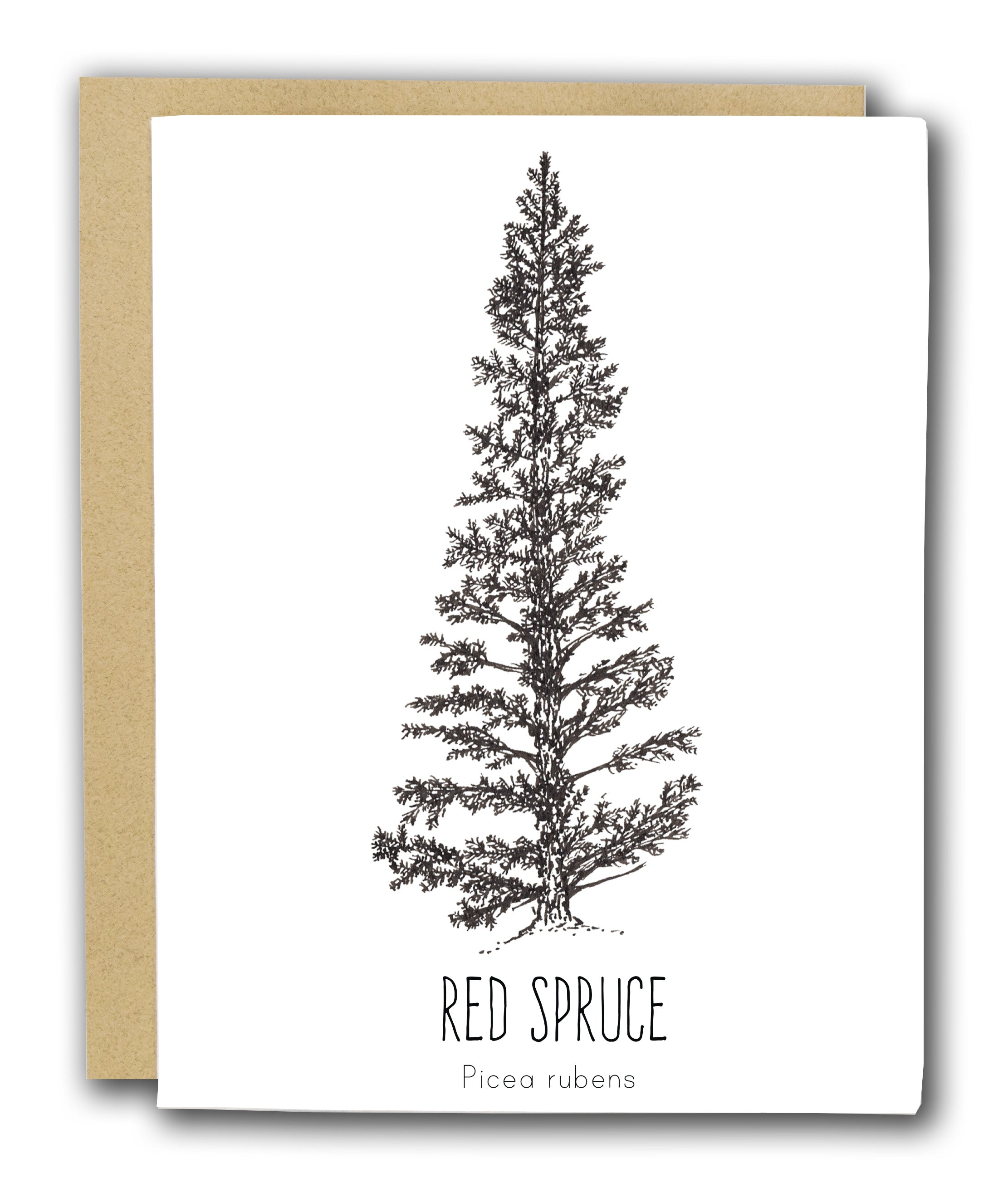 Red Spruce Letterpress Card