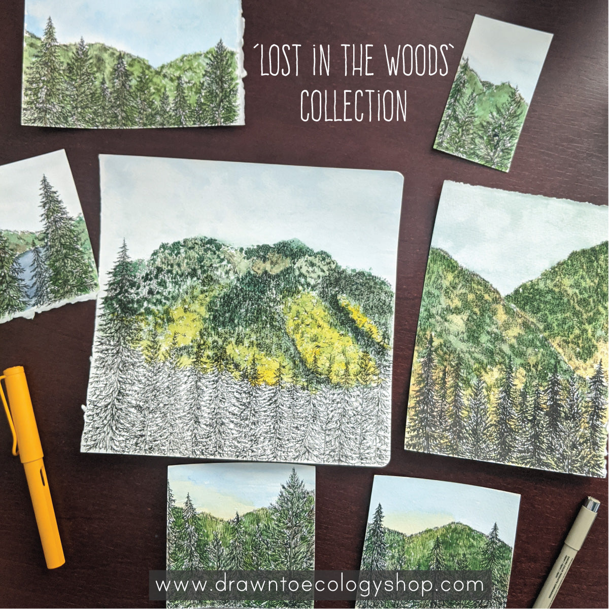 'Lost in the Woods' Original Watercolor + Ink Collection