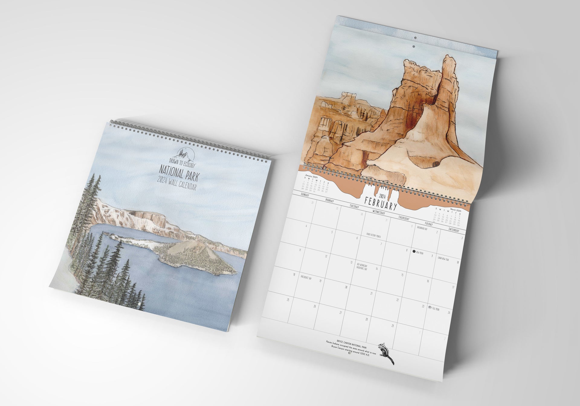 2024 National Park Wall Calendar Drawn To Ecology 2024-national-park-wall-calendar-drawn-to-ecology